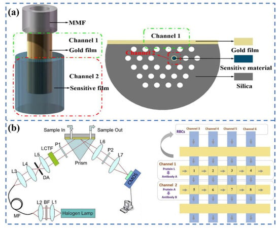 Biosensors | Free Full-Text | Recent Advances Of Representative Optical ...