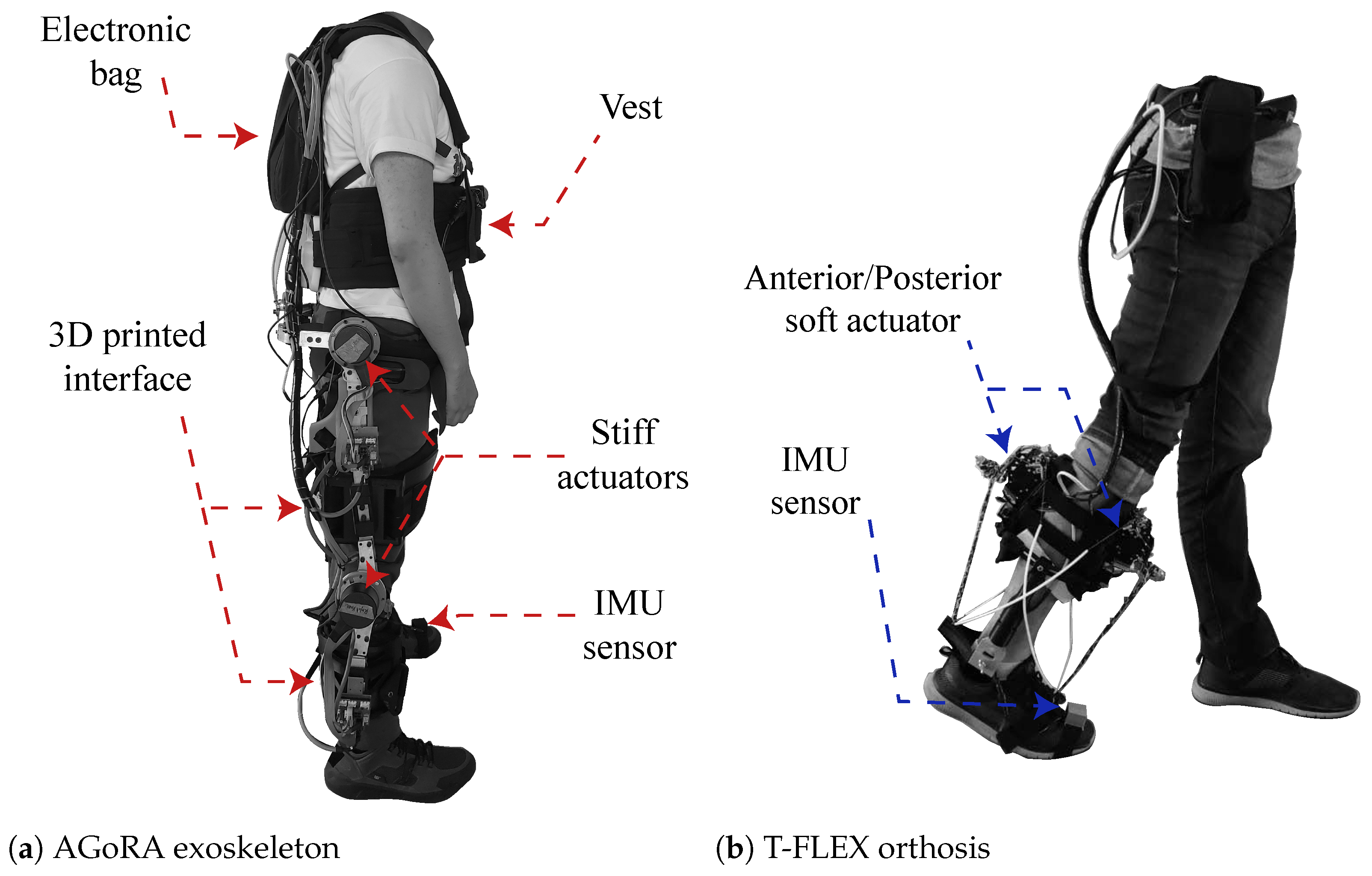 Biosensors | Free Full-Text | Biomechanical Effects of Adding an Ankle Soft  Actuation in a Unilateral Exoskeleton