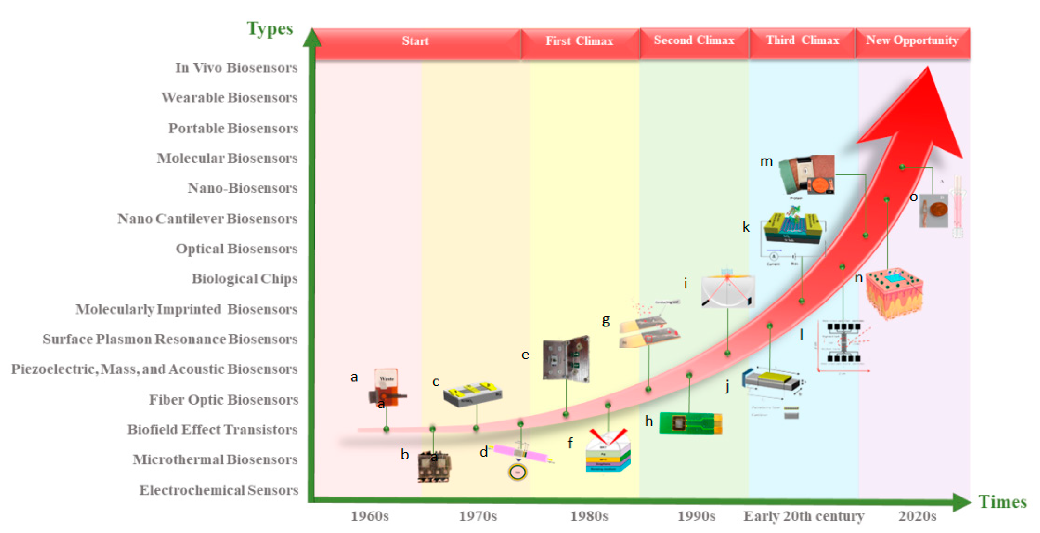 Biosensors 12 00876 g001