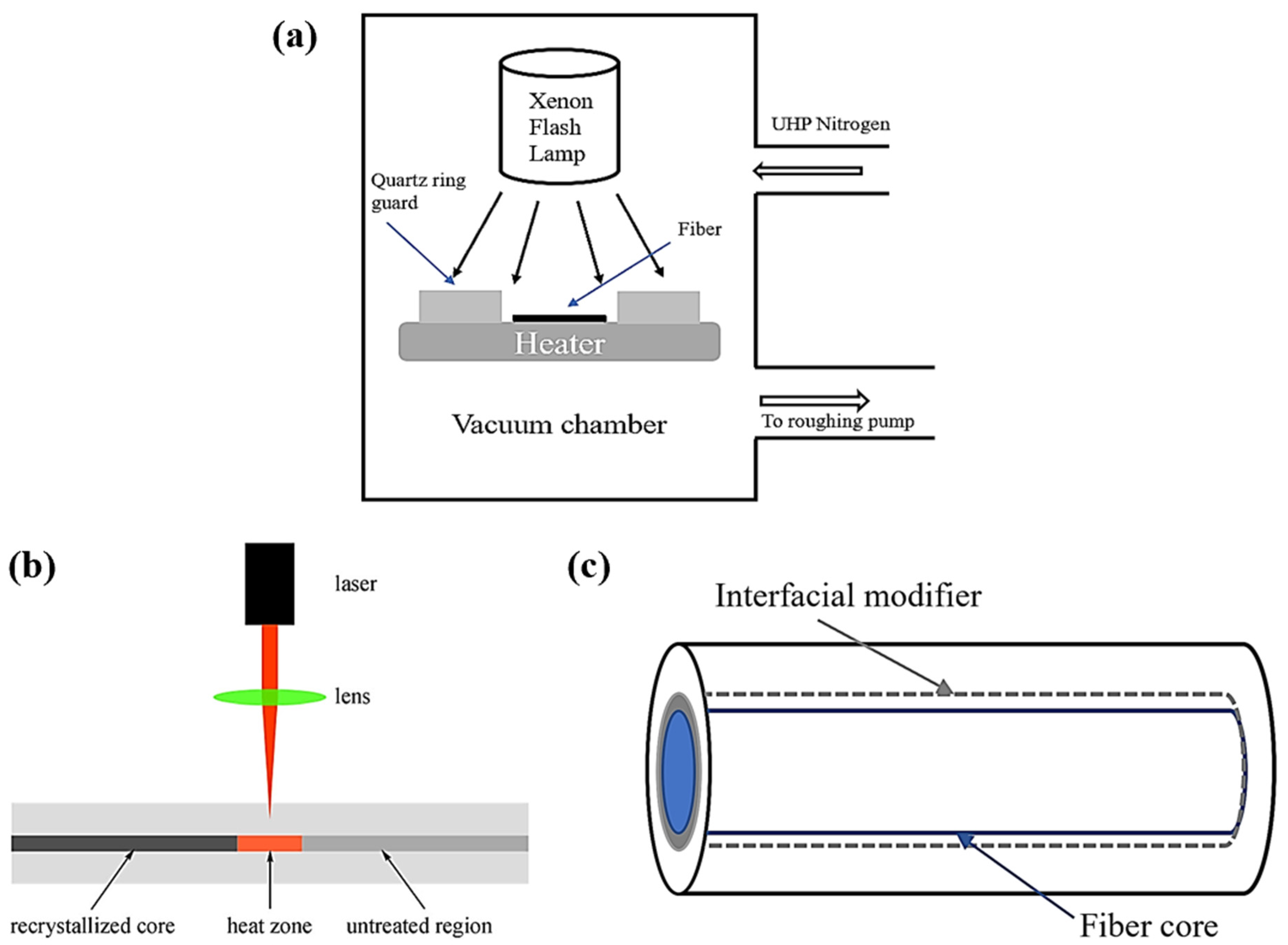 Biosensors 12 00882 g004 Biosensors 12 00882 g004
