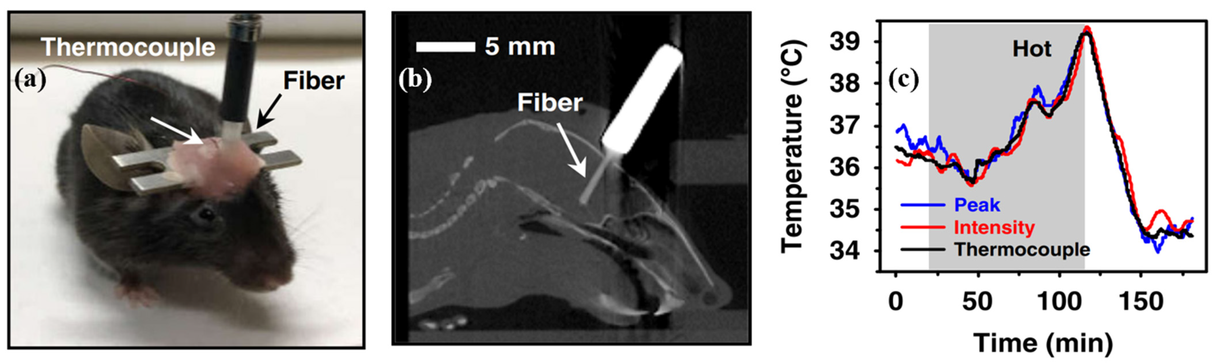 Biosensors 12 00882 g007 Biosensors 12 00882 g007