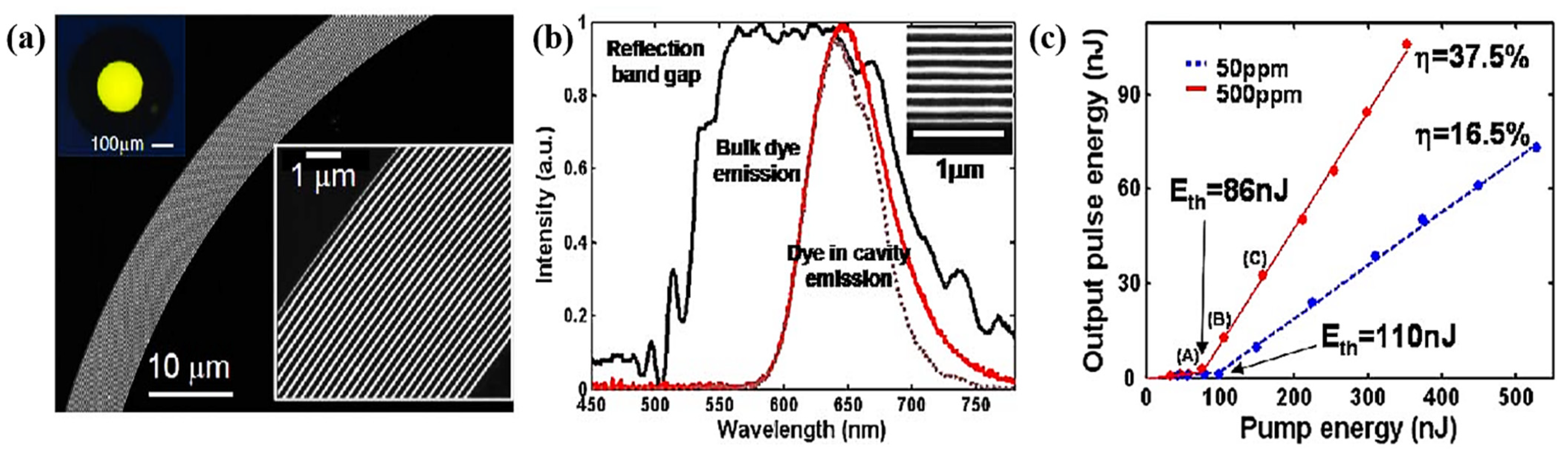 Biosensors 12 00882 g009 Biosensors 12 00882 g009