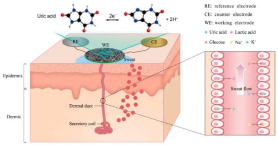 Biosensors | Free Full-Text | Graphene and Its Derivatives