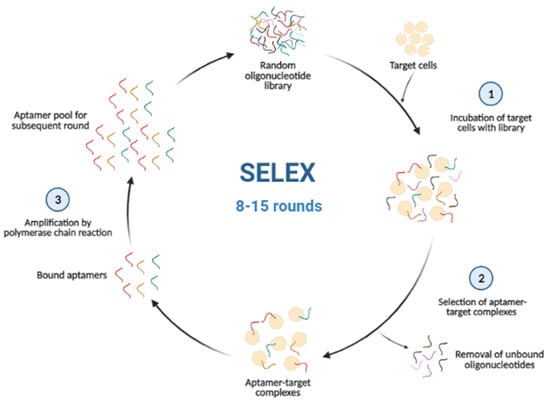 Biosensors | Free Full-Text | Advances In Aptamer-Based Biosensors And ...