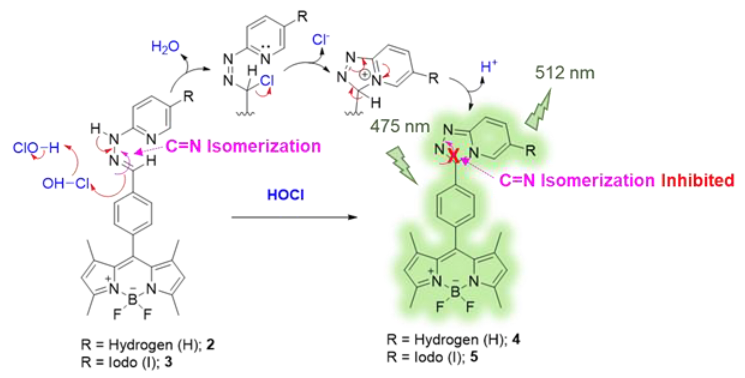 Biosensors 12 00923 sch002 Biosensors 12 00923 sch002