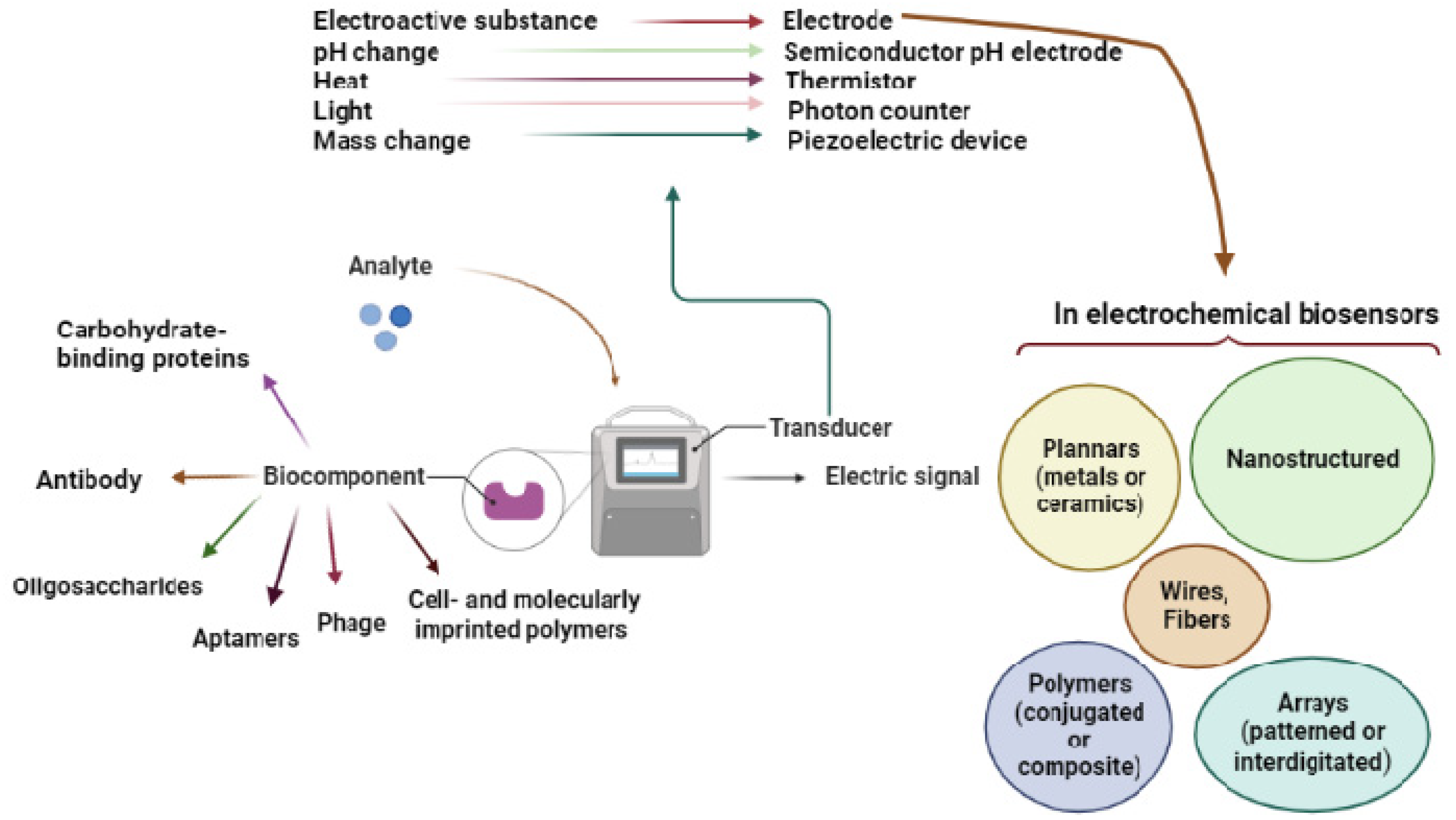 Biosensors 12 00927 g001