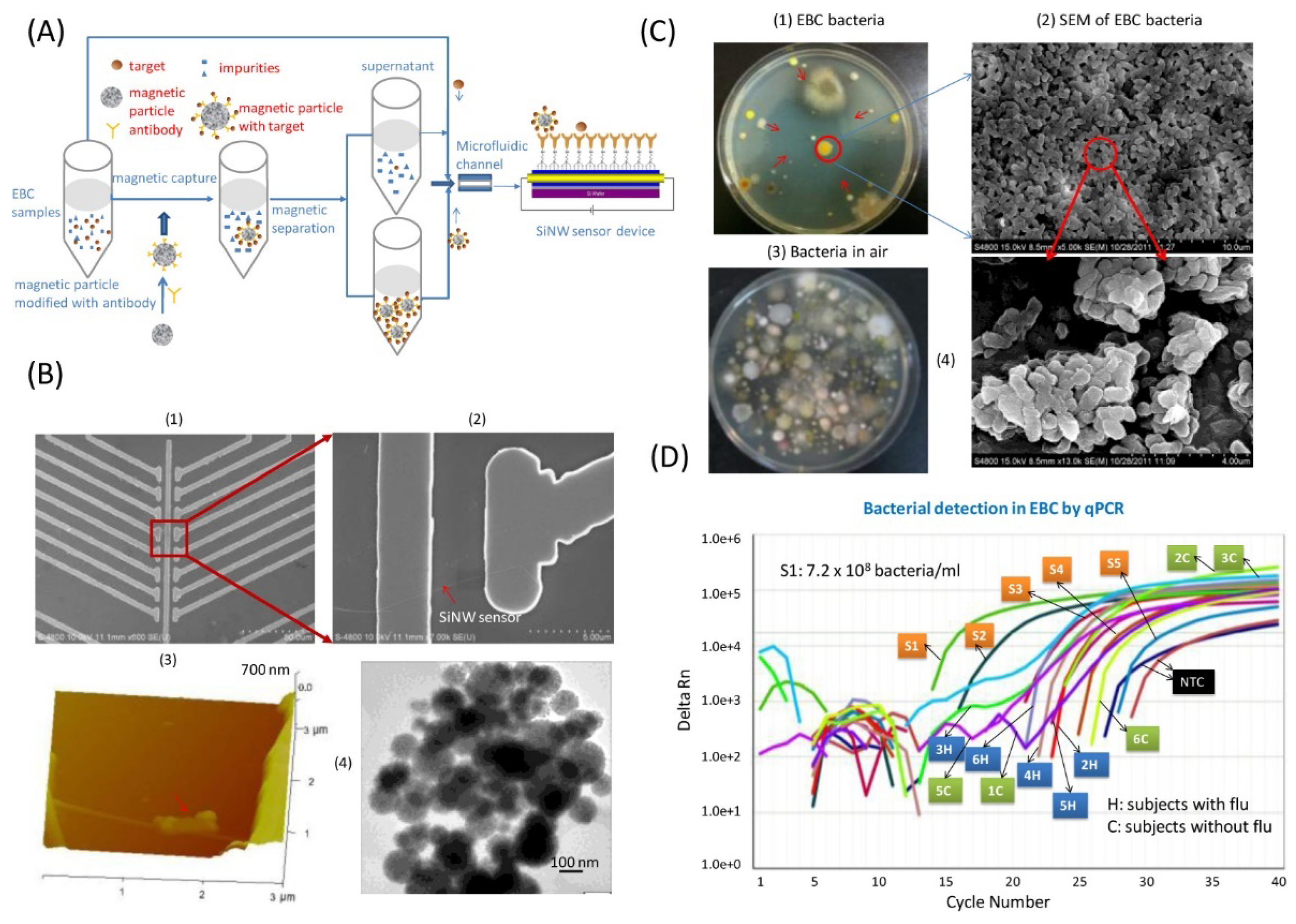 Biosensors 12 00927 g004