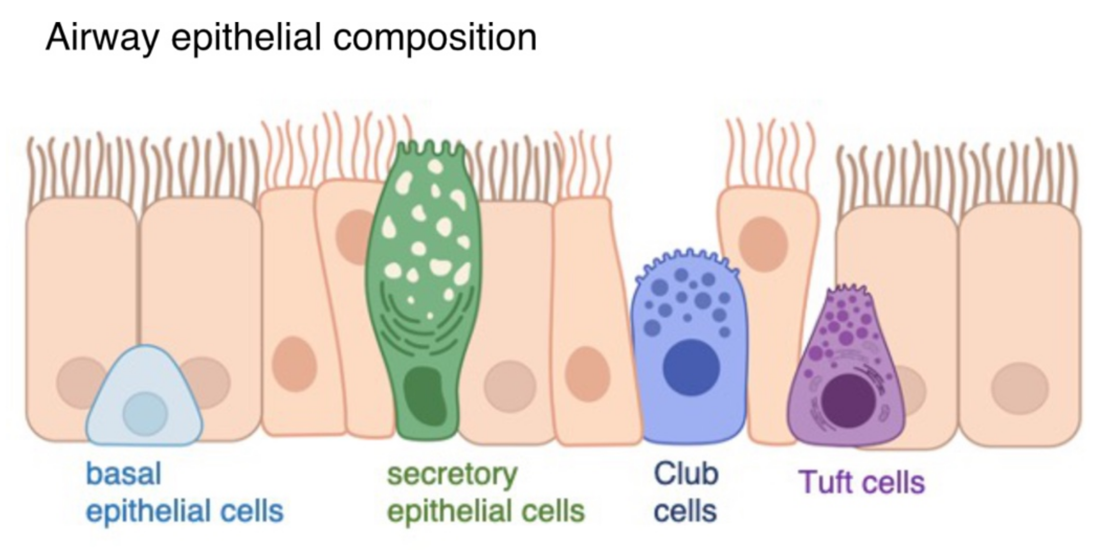 Biosensors 12 00929 g001