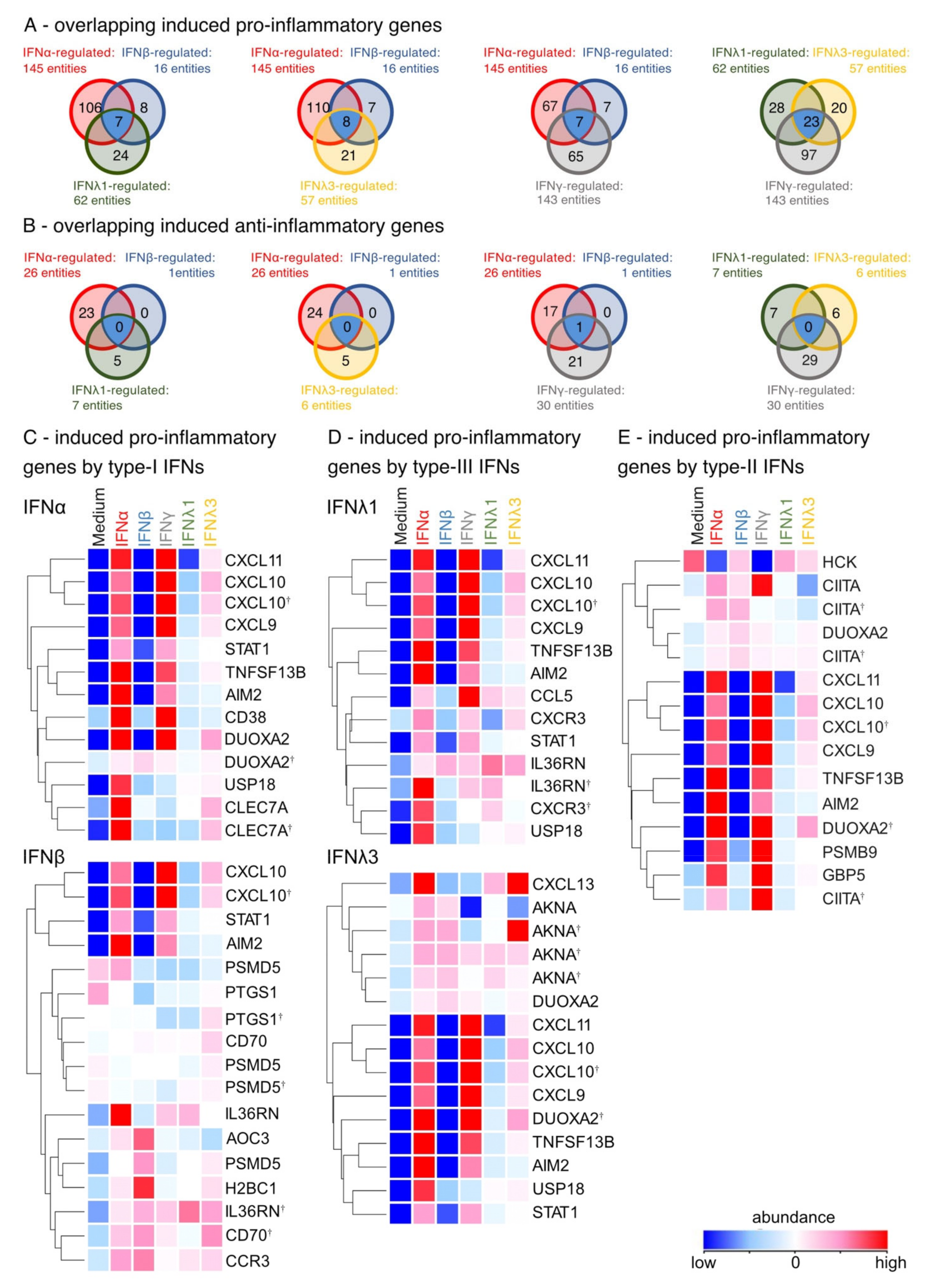 Biosensors 12 00929 g004