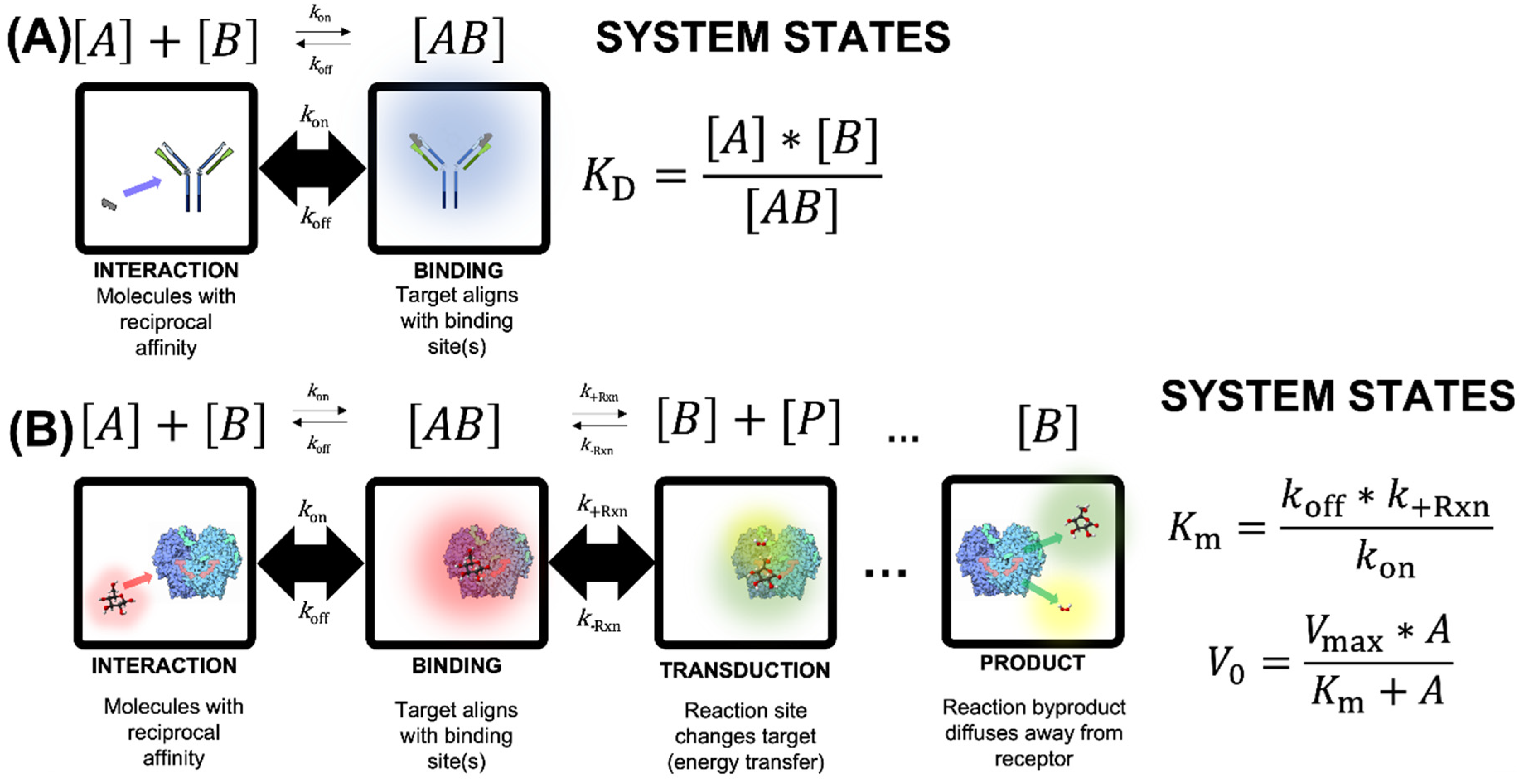 Biosensors 12 00938 g003 Biosensors 12 00938 g003