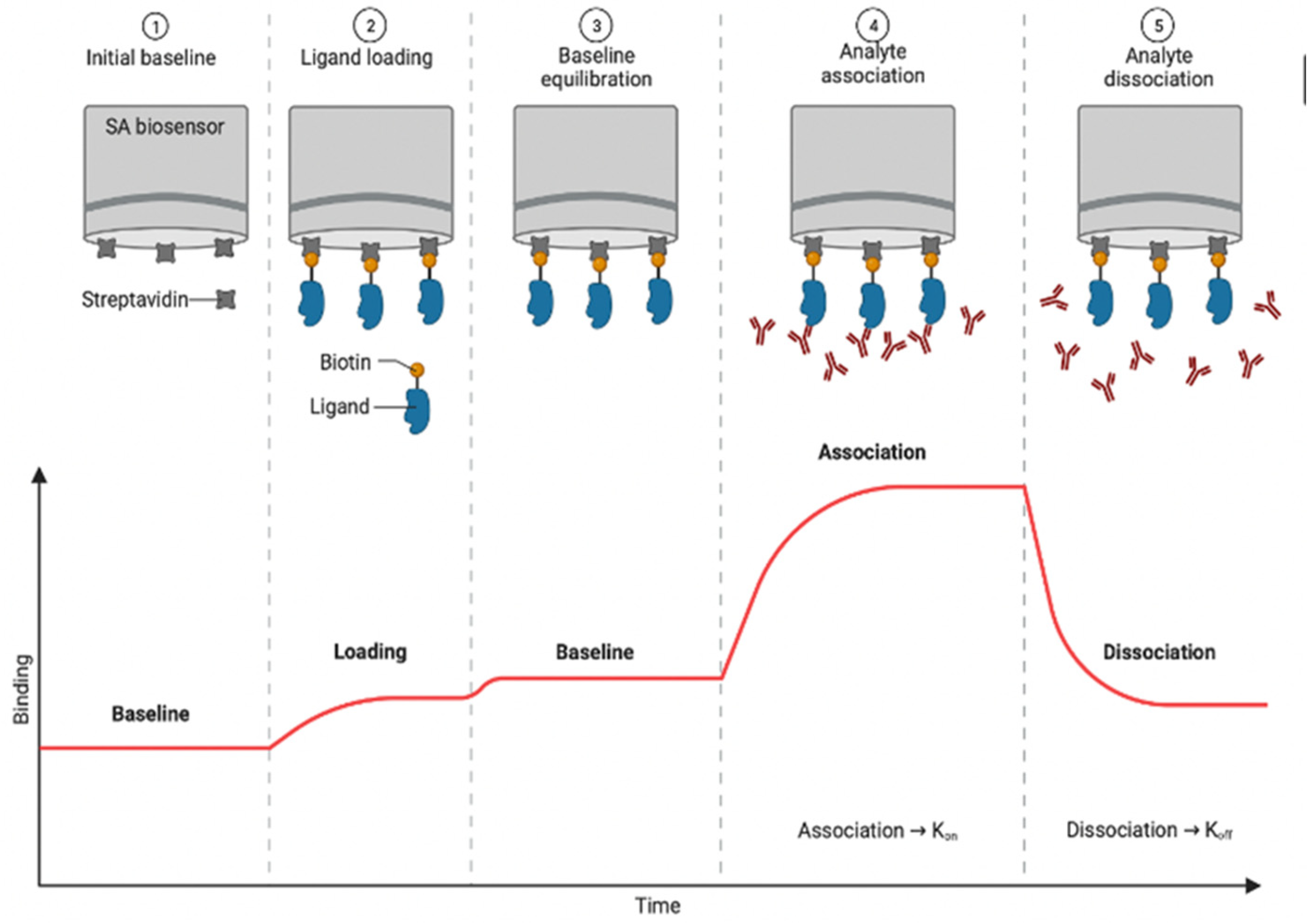 Biosensors 12 00938 g004 Biosensors 12 00938 g004