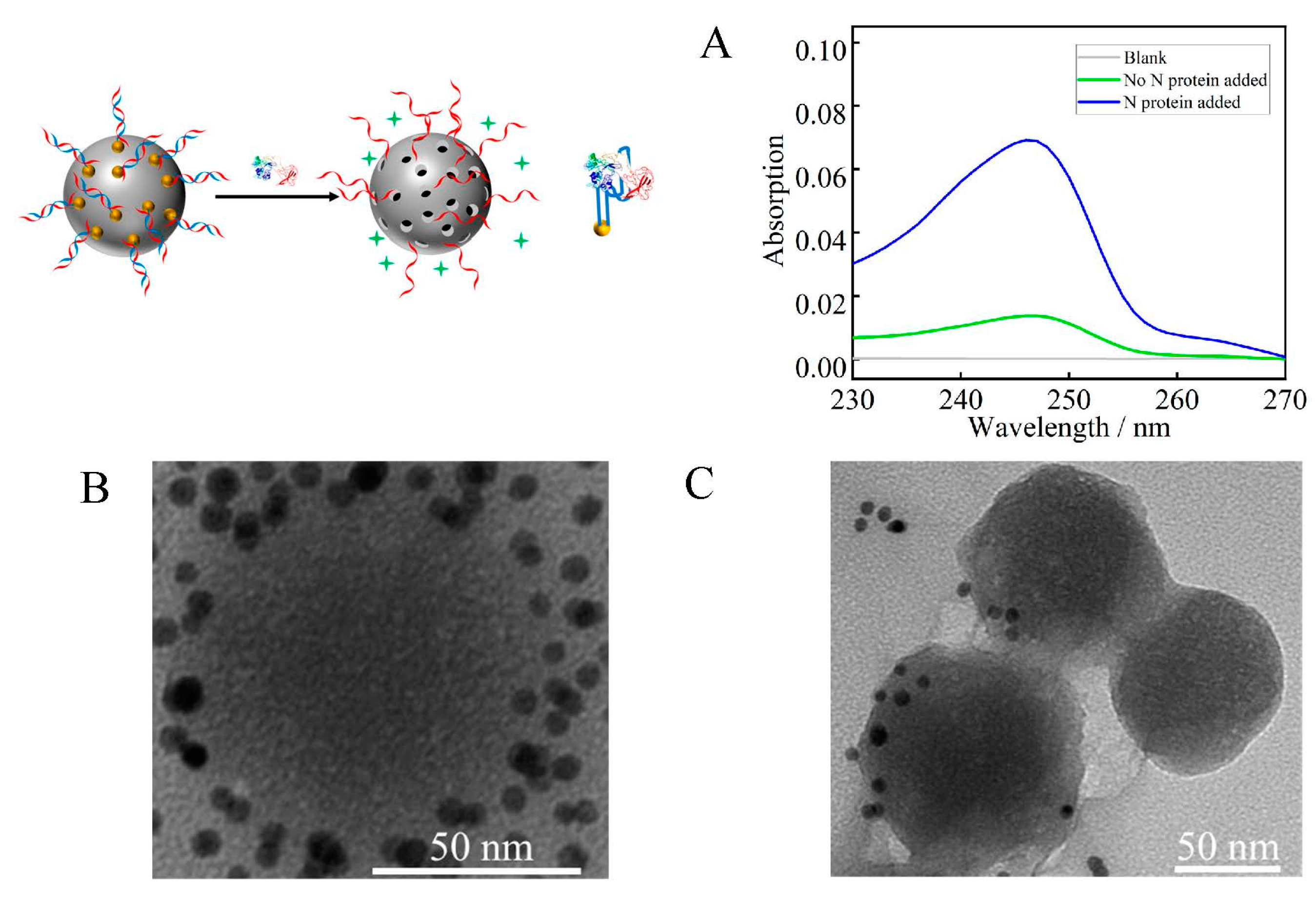 Biosensors 12 00950 g003