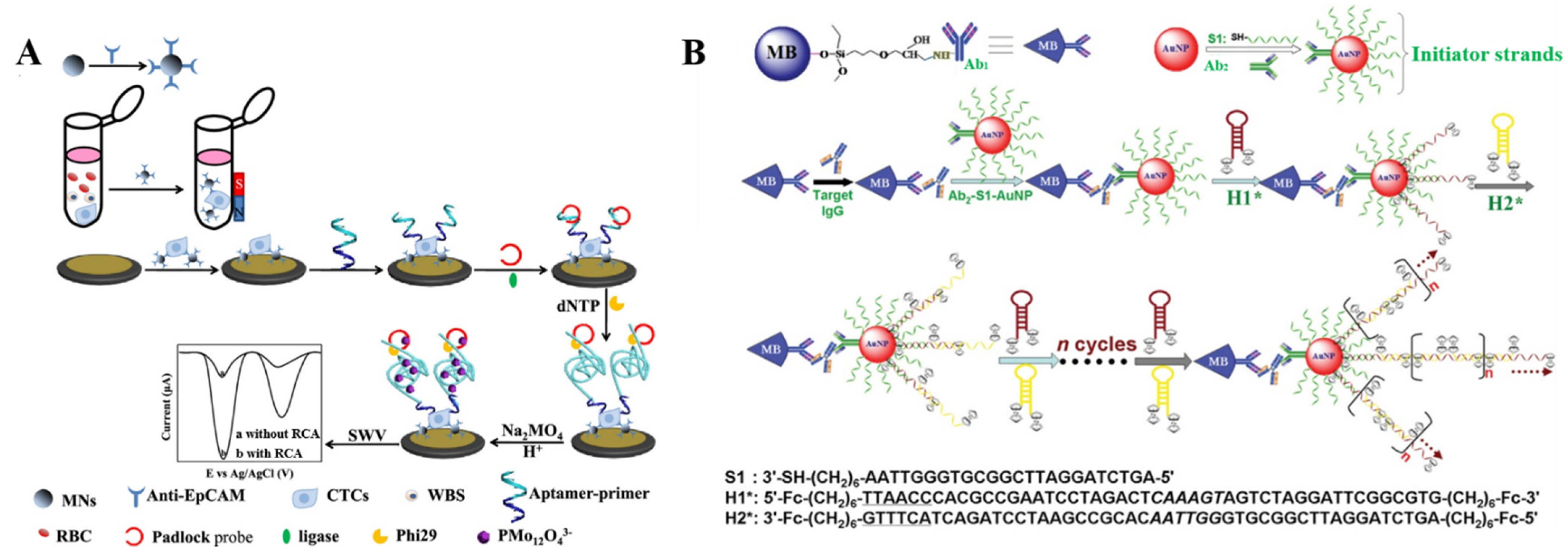 Biosensors 12 00954 g003