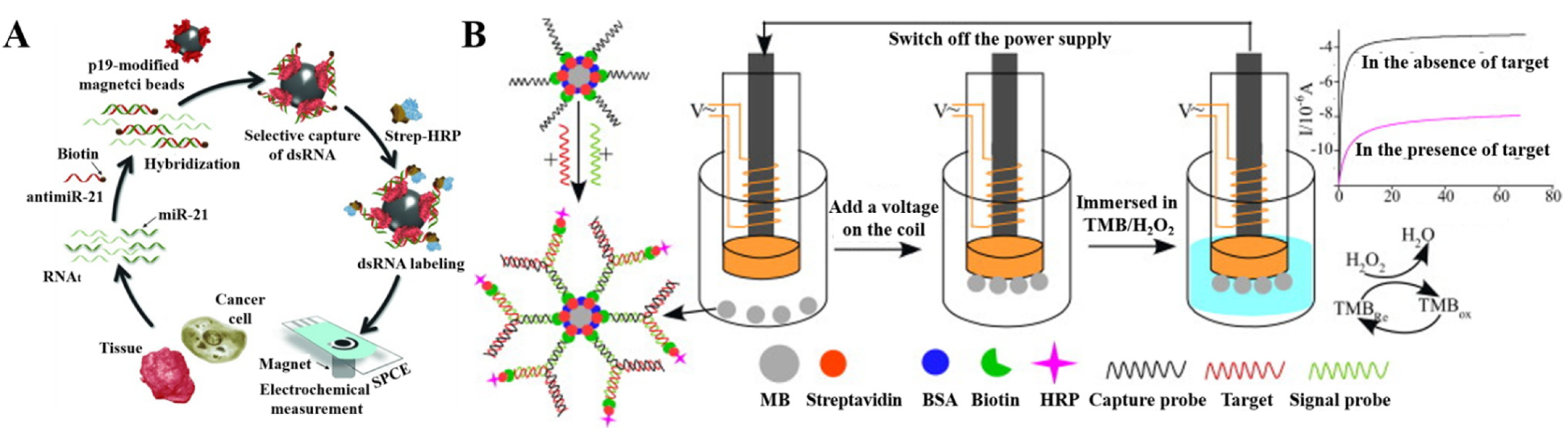Biosensors 12 00954 g004