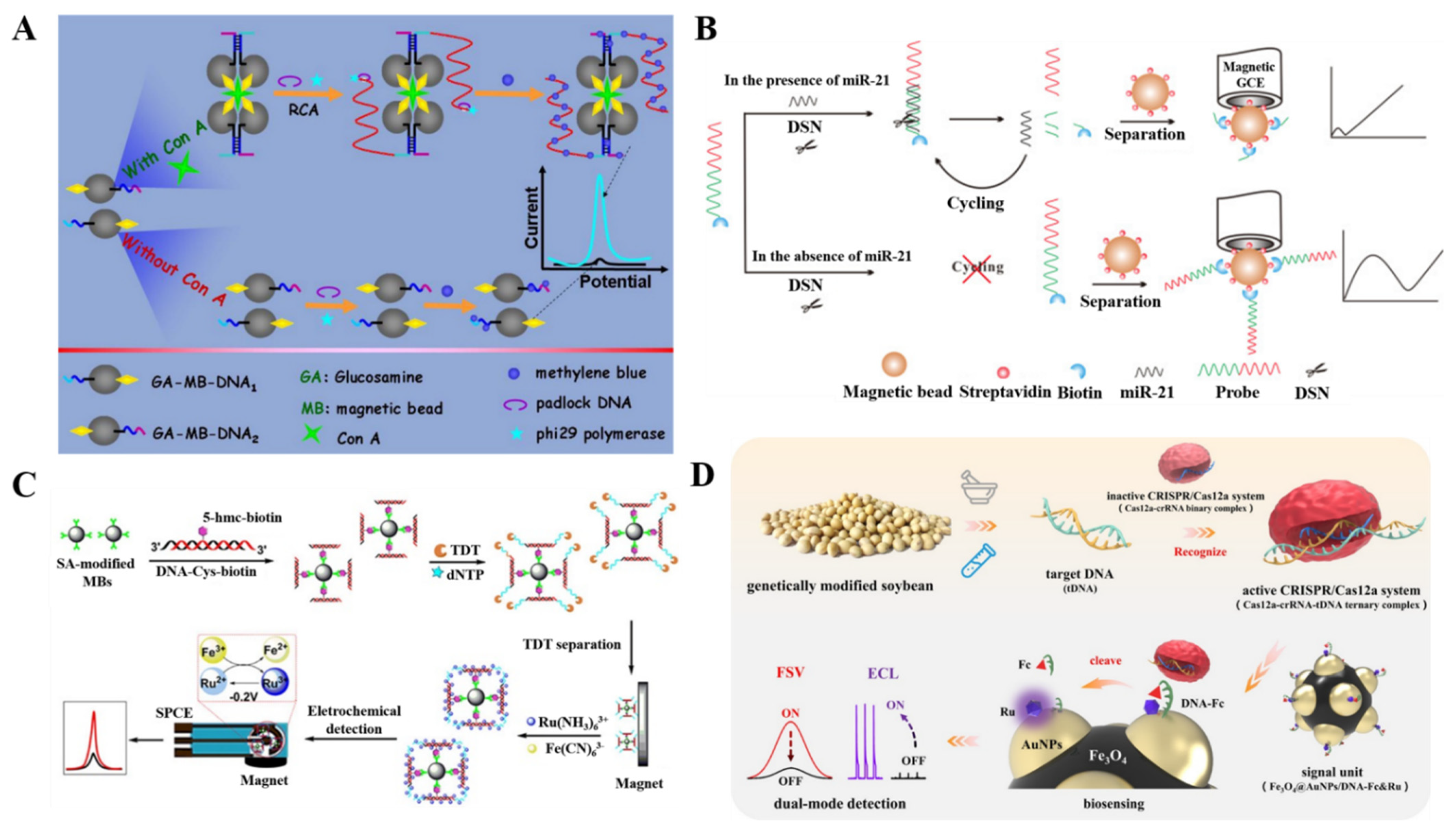 Biosensors 12 00954 g005