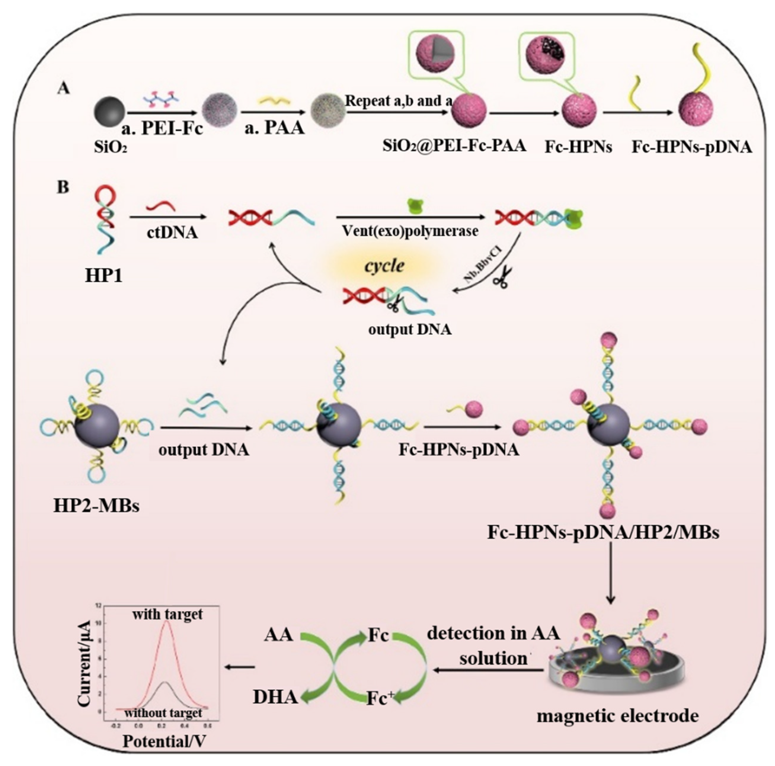 Biosensors 12 00954 g008
