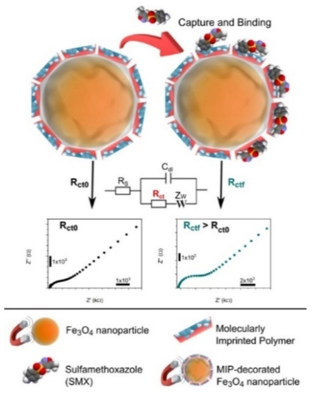 Biosensors 12 00954 g010