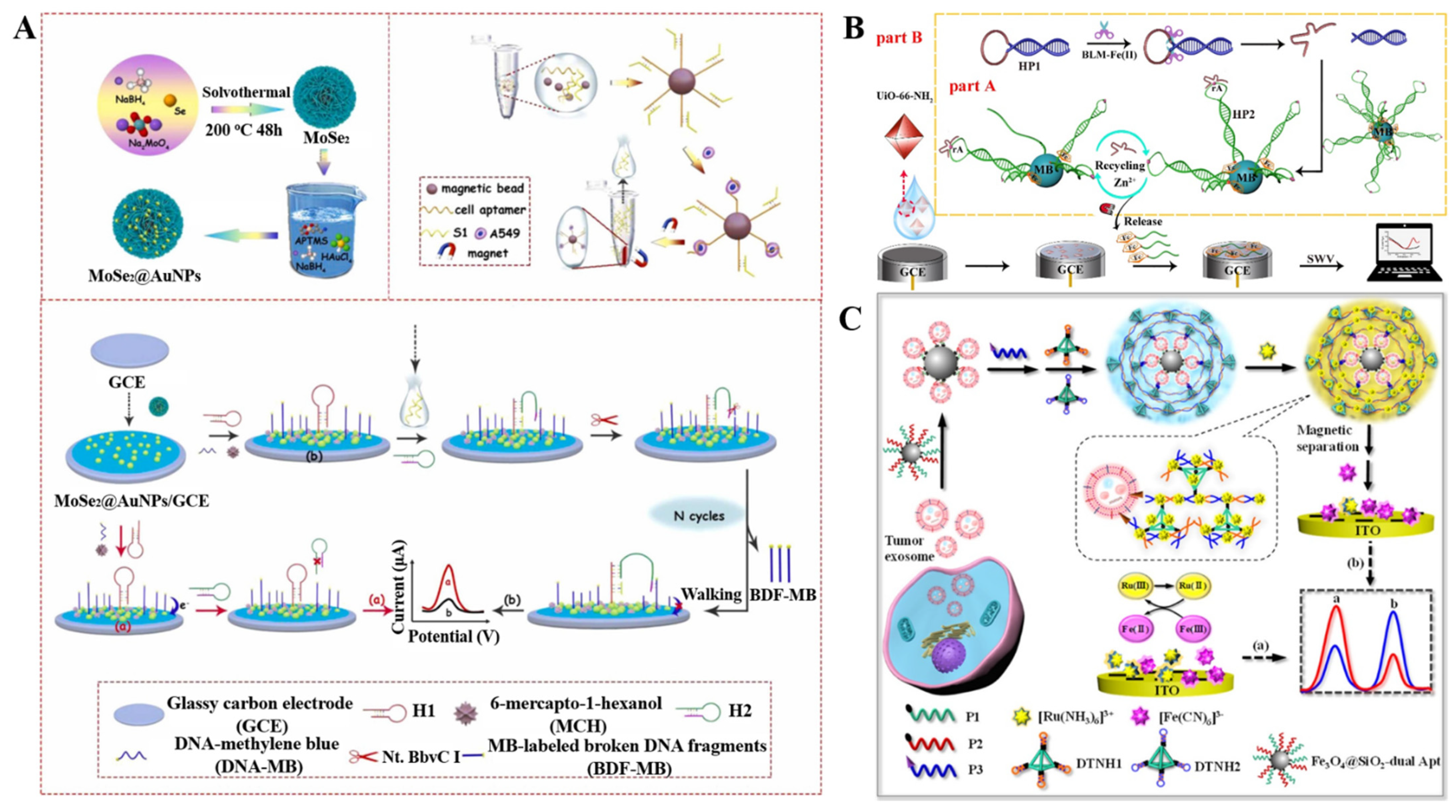 Biosensors 12 00954 g014