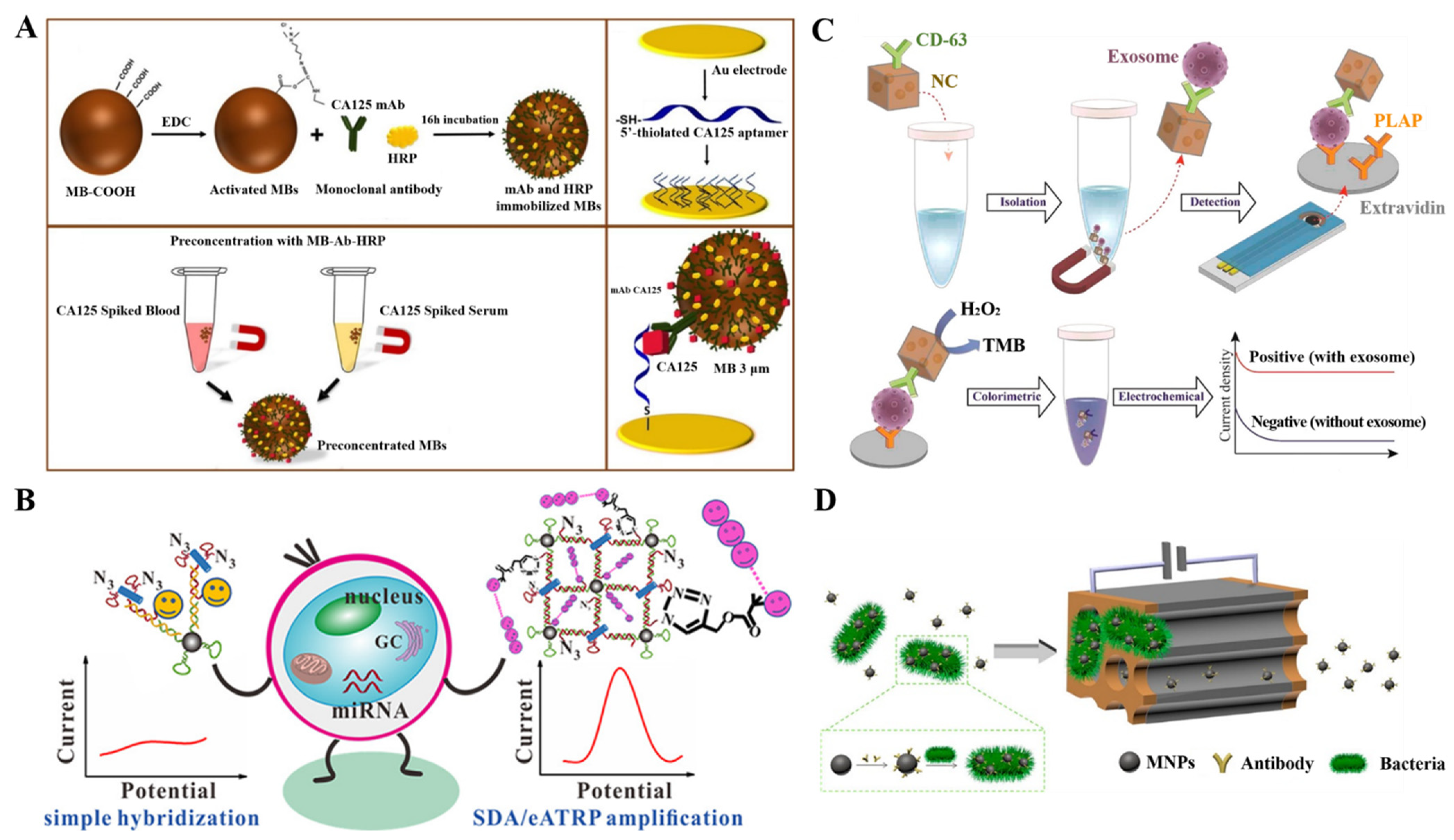 Biosensors 12 00954 g015
