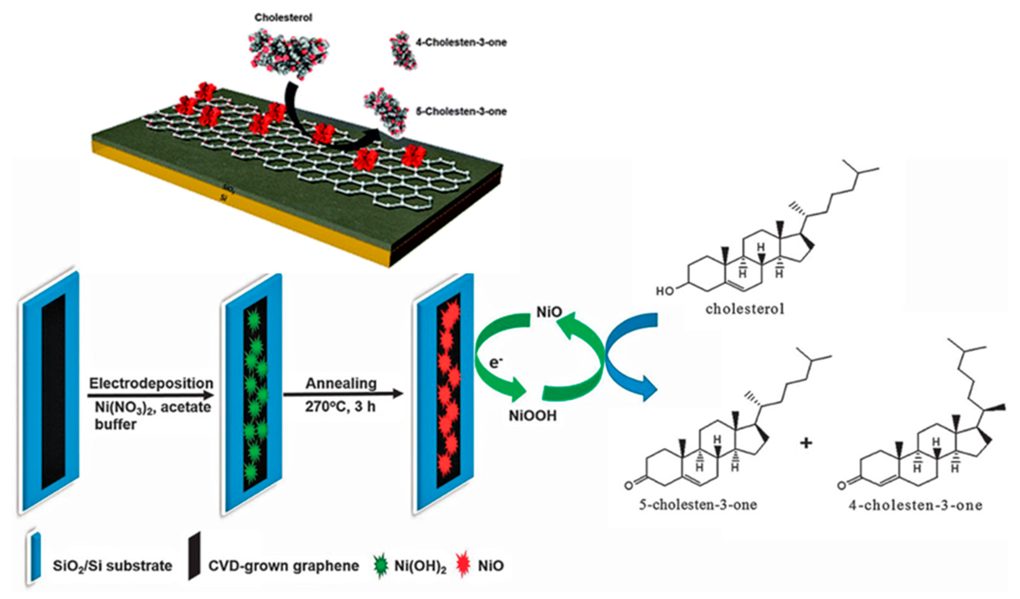 Biosensors | Free Full-Text | Emerging Trends In Non-Enzymatic ...