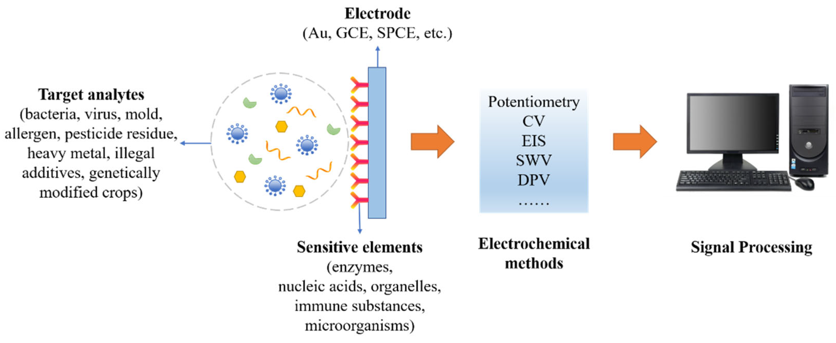 https://www.mdpi.com/biosensors/biosensors-12-00959/article_deploy/html/images/biosensors-12-00959-g001.png