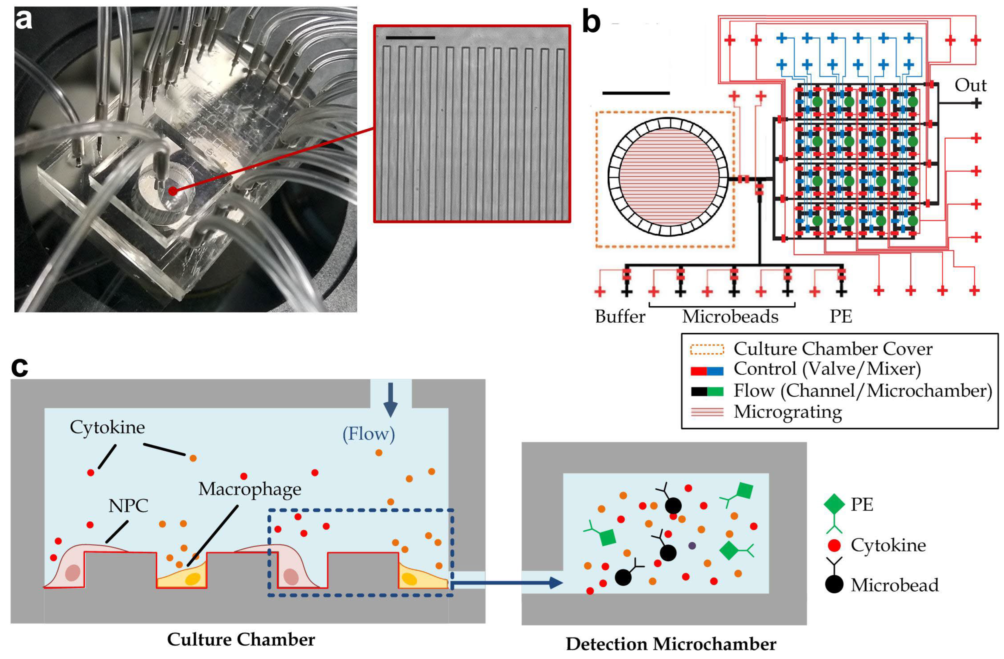 Biosensors 12 00963 g001
