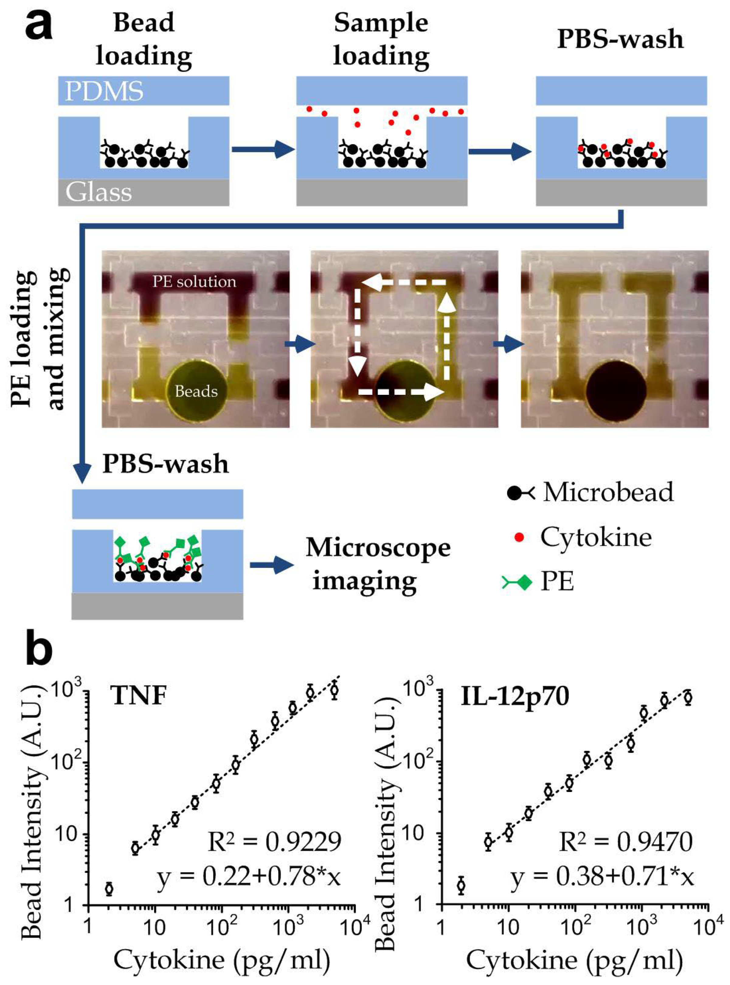 Biosensors 12 00963 g002