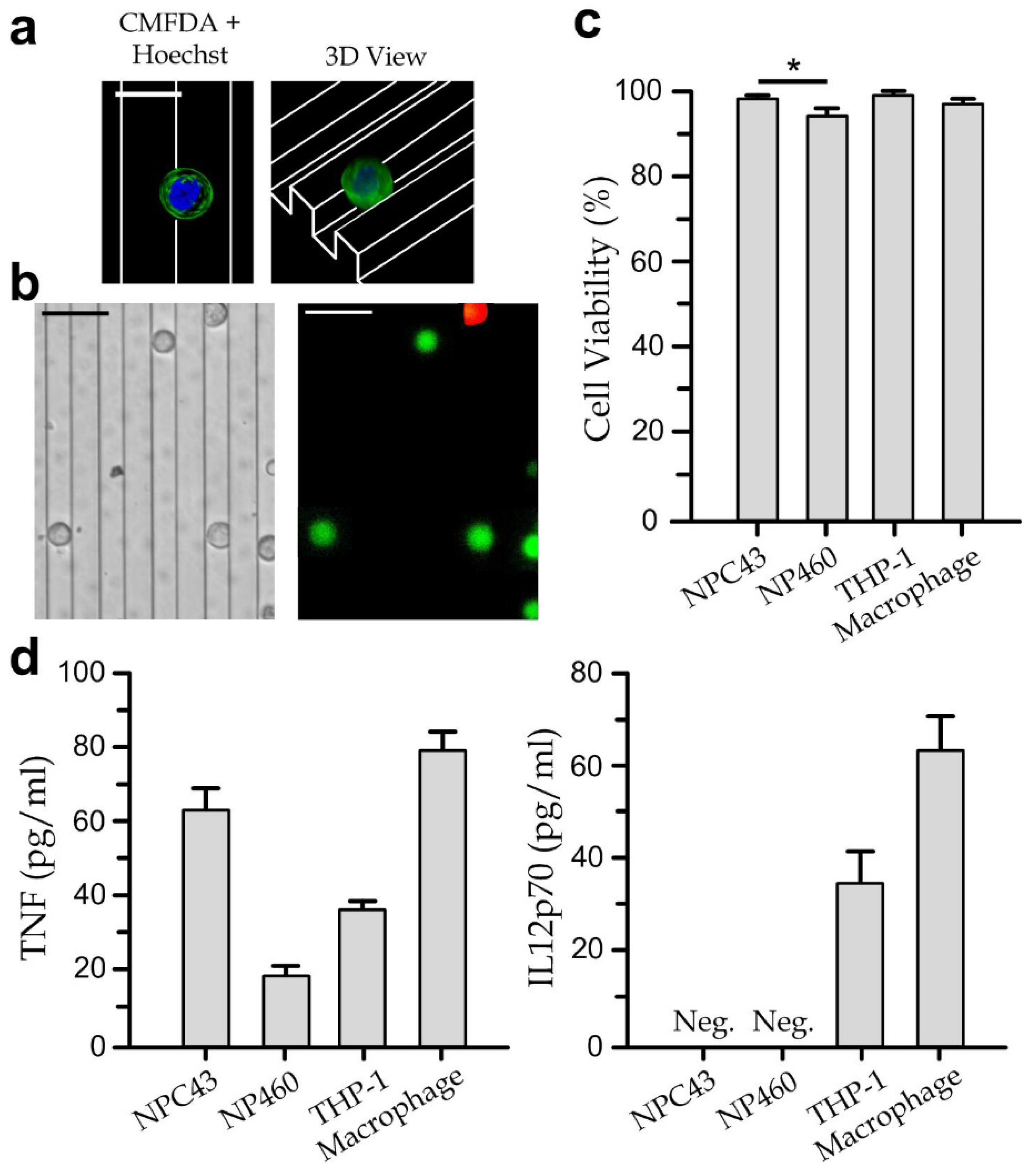 Biosensors 12 00963 g003