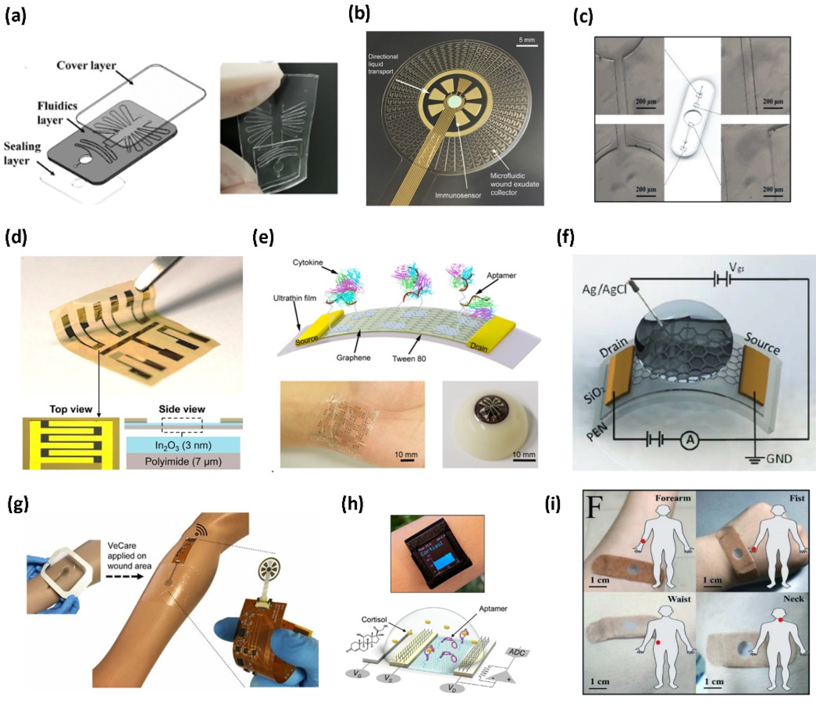 Biosensors 12 00986 g002