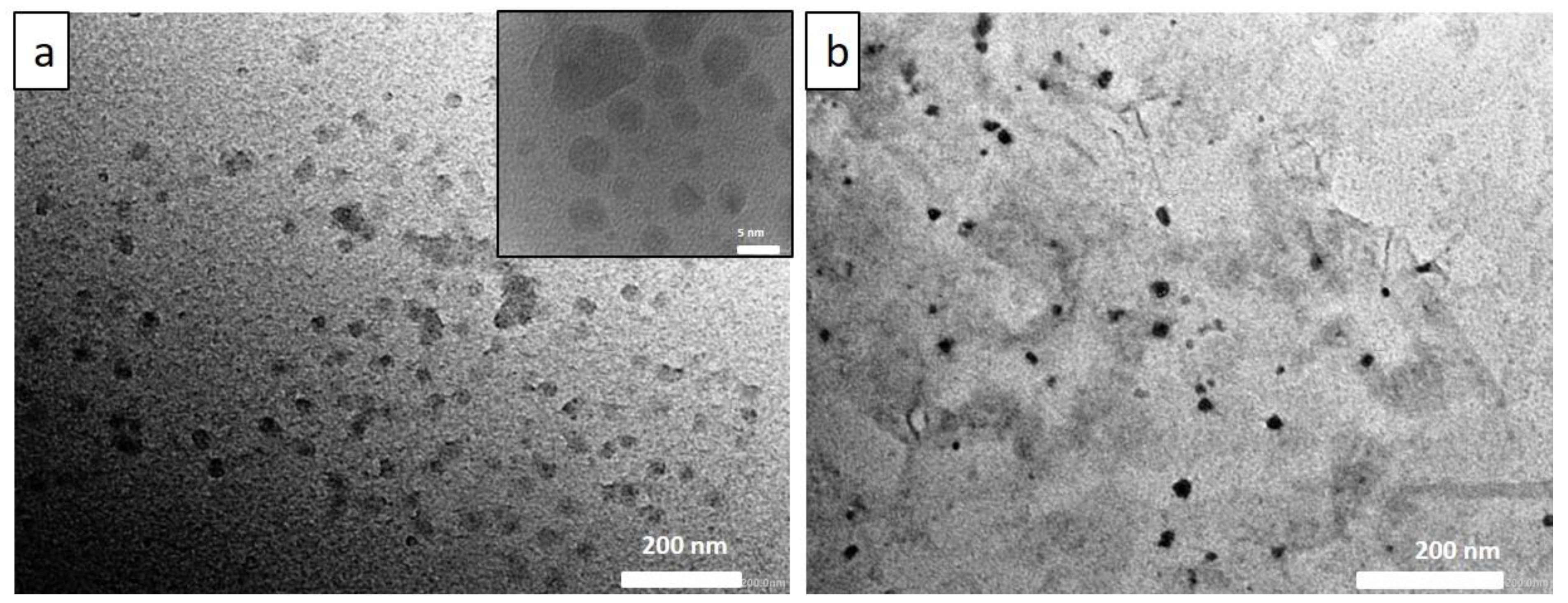 Biosensors 12 00993 g001 Biosensors 12 00993 g001