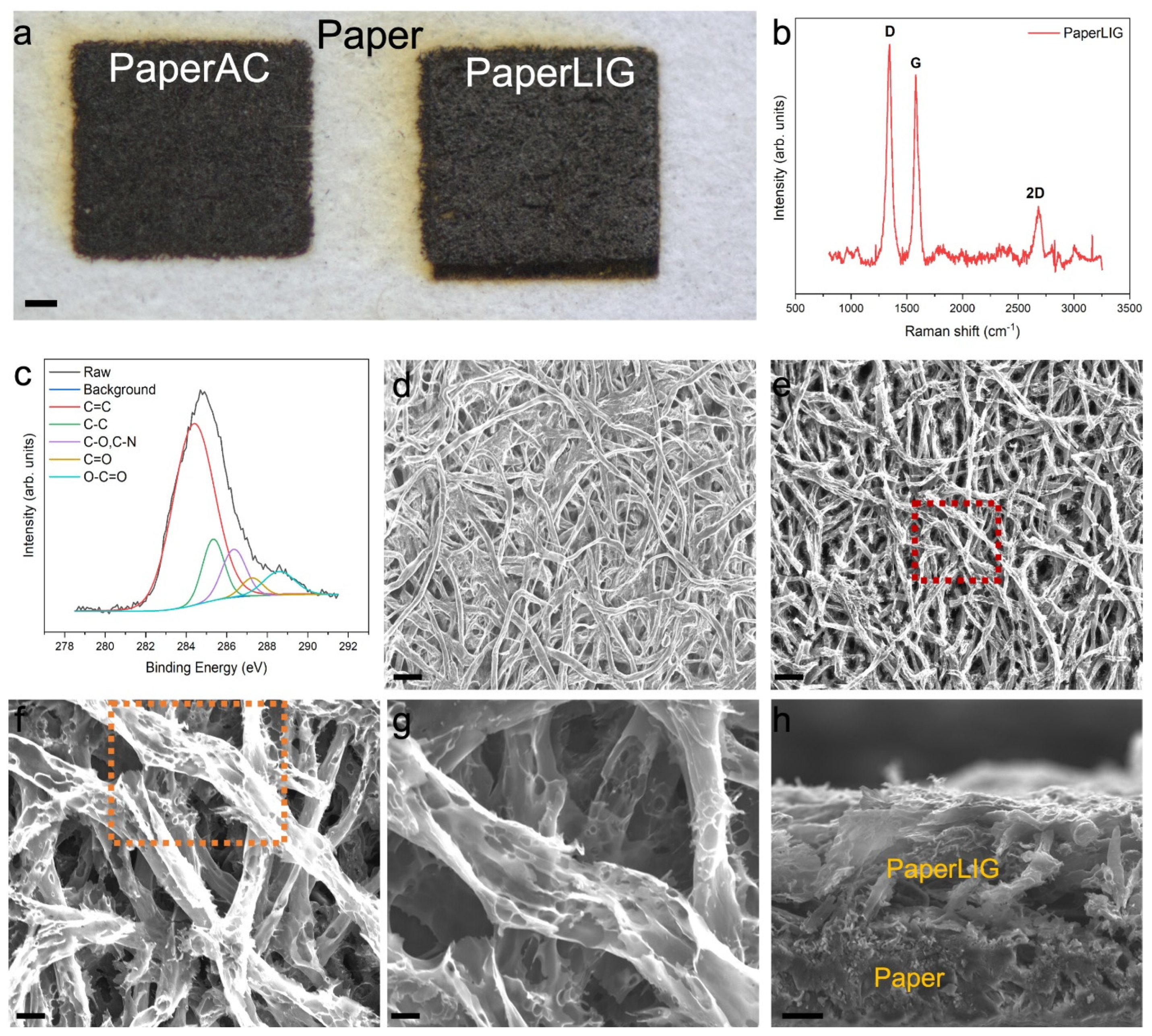 Biosensors 12 00995 g002