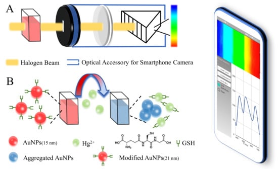 Biosensors, Free Full-Text