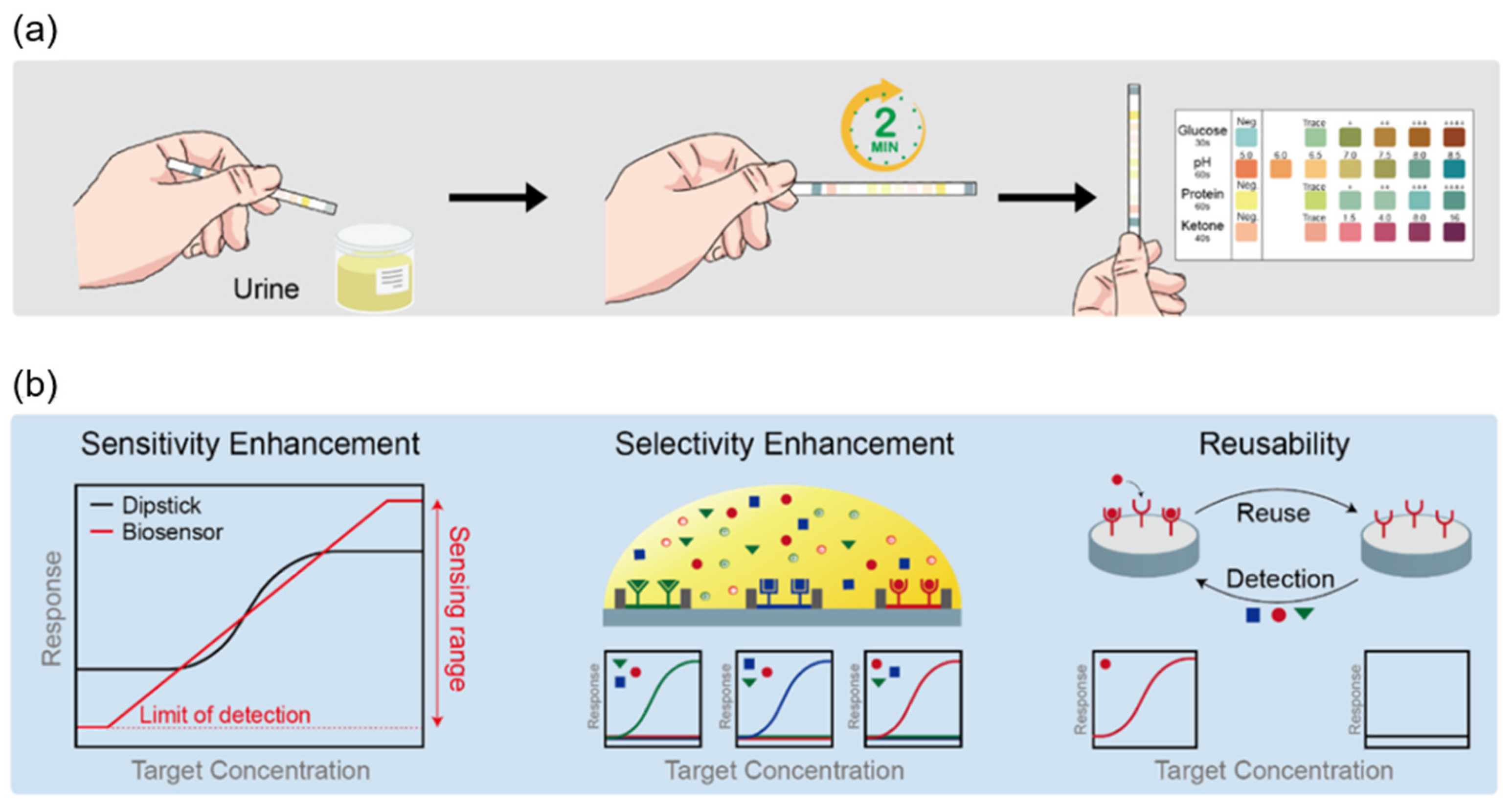 Biosensors Free Full Text Recent Advances In Biosensor Technologies For Point Of Care Urinalysis 1891