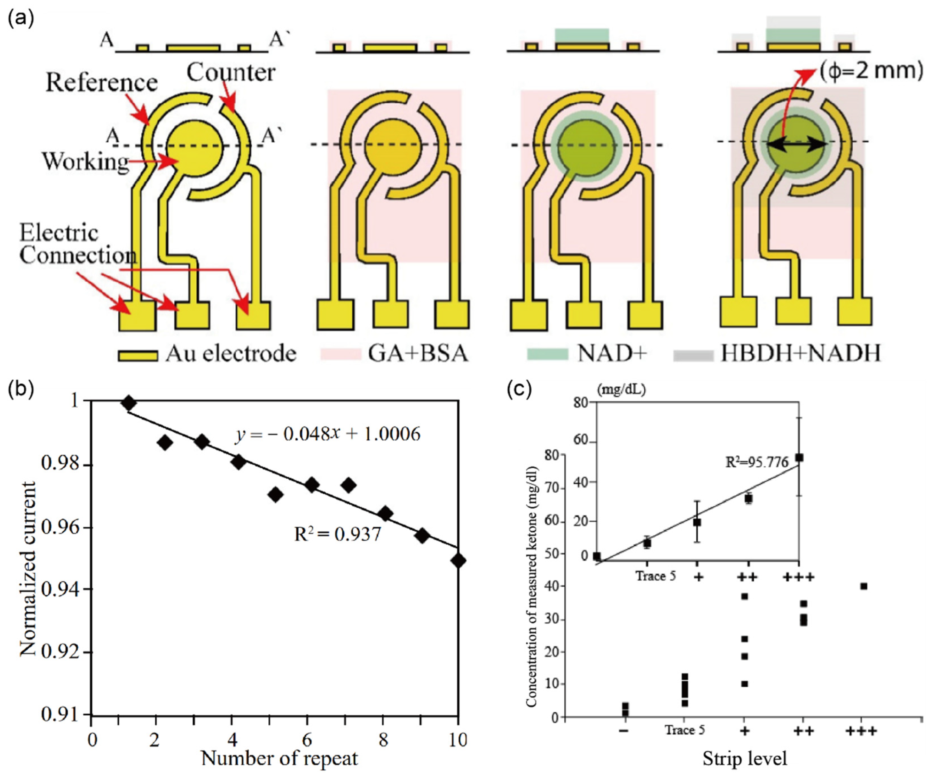 Biosensors 12 01020 g005 Biosensors 12 01020 g005