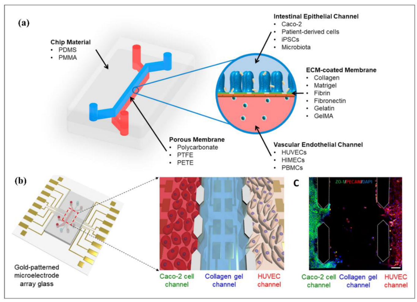 Biosensors | Free Full-Text | Biomedical Applications Of Microfluidic ...