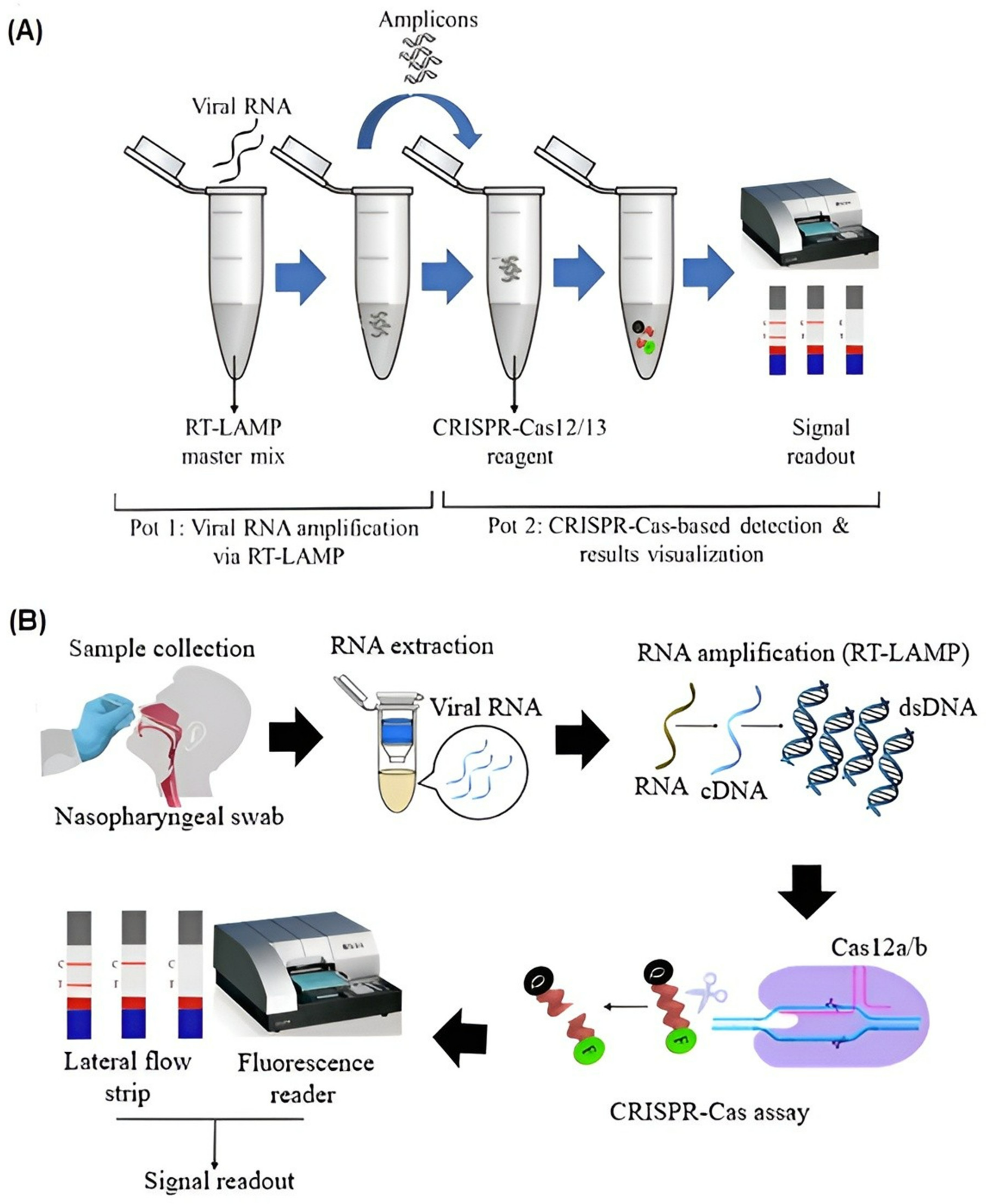 Biosensors 12 01035 g002
