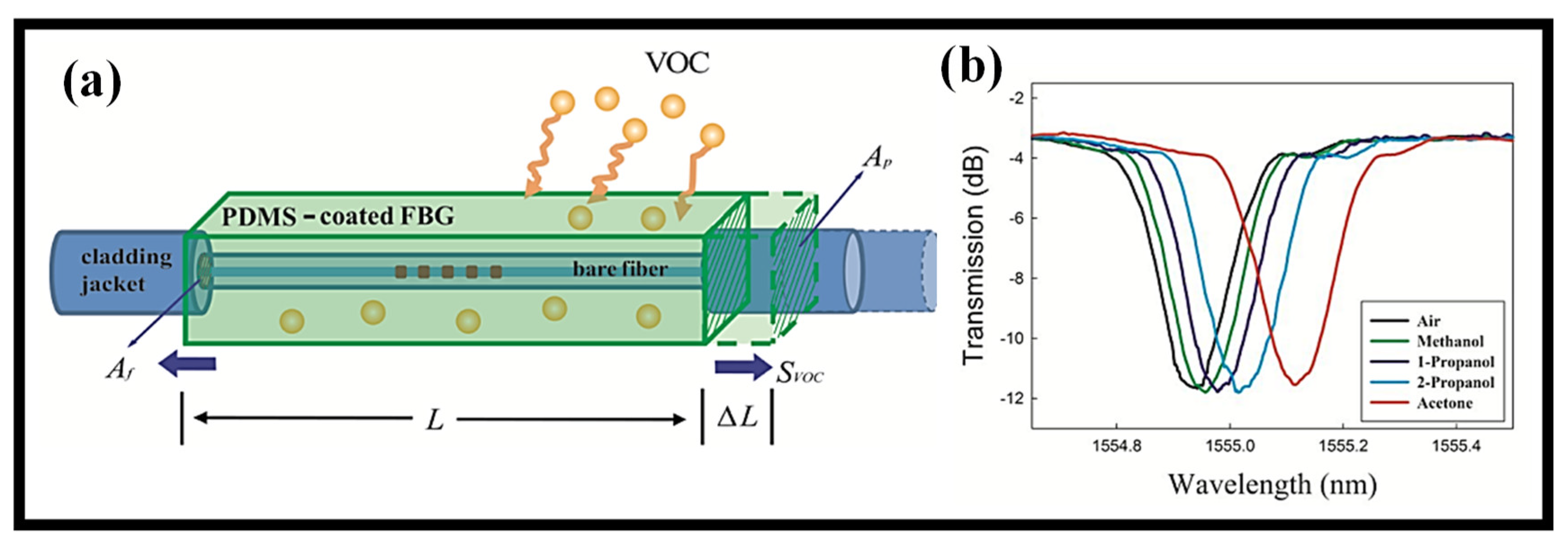 Biosensors 12 01038 g009 Biosensors 12 01038 g009