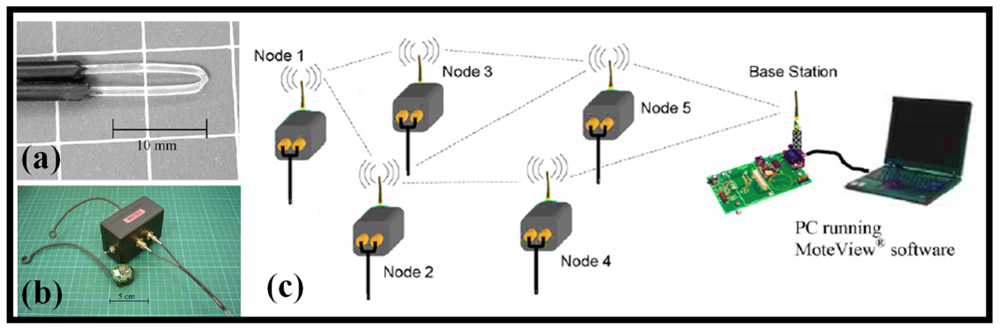 Biosensors 12 01038 g010 Biosensors 12 01038 g010