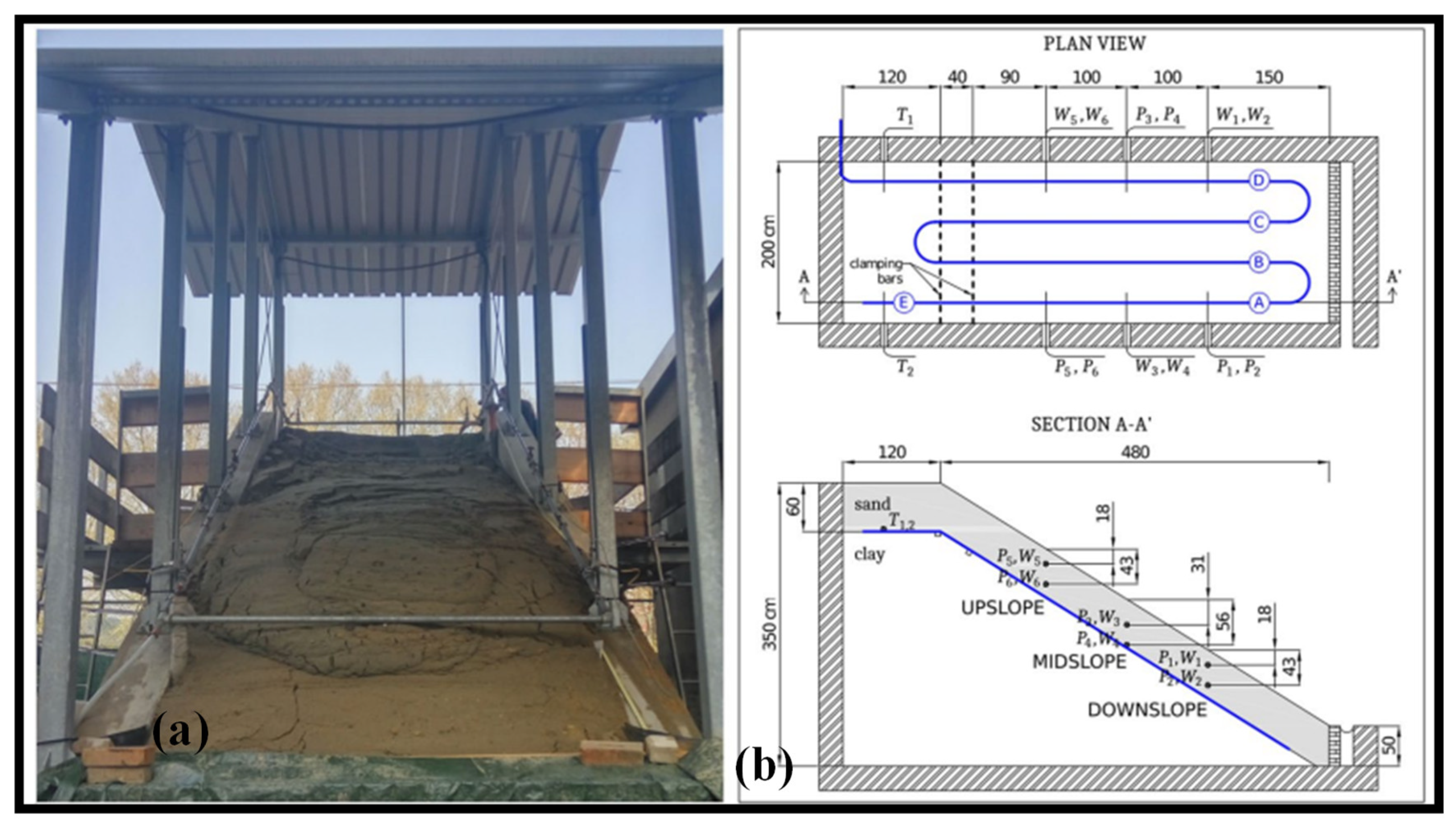 Biosensors 12 01038 g014 Biosensors 12 01038 g014