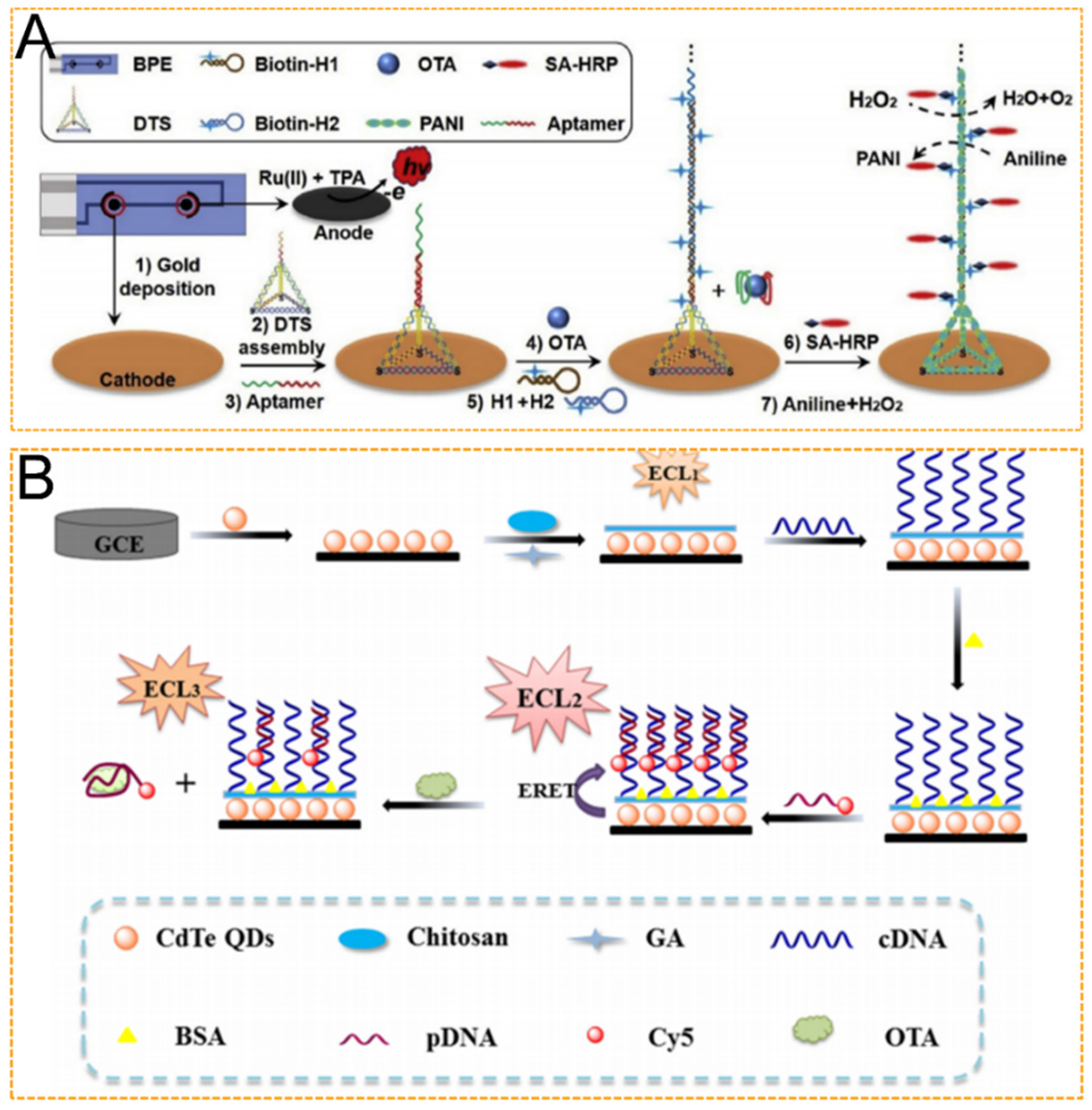 Biosensors 12 01046 g003 Biosensors 12 01046 g003