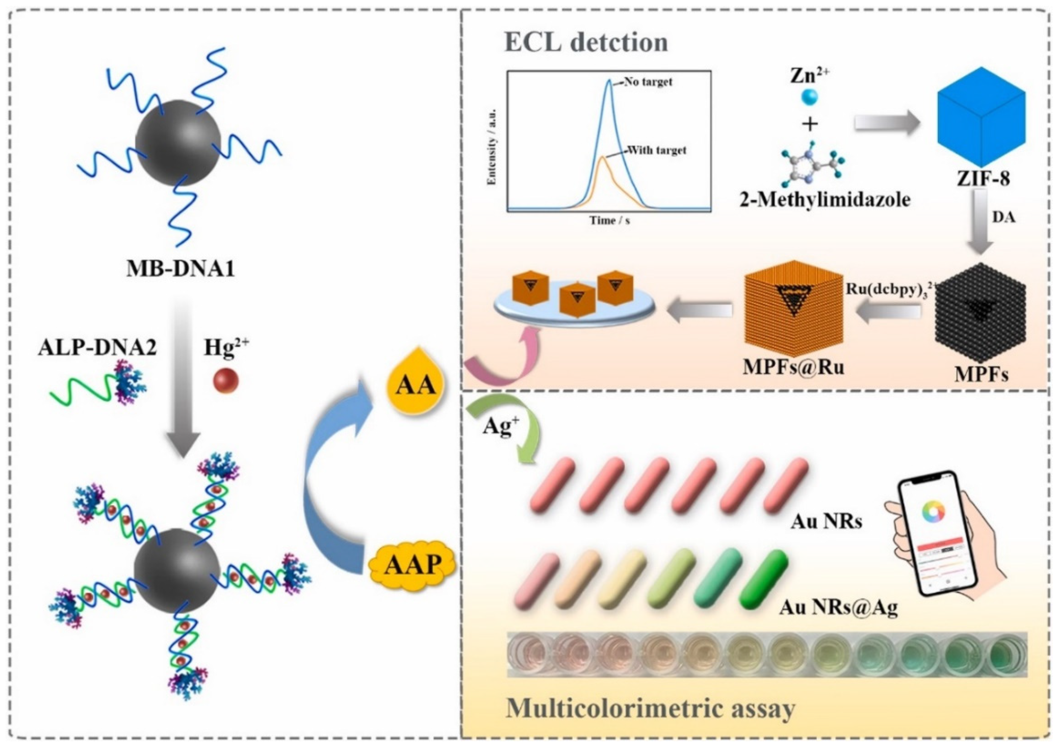 Biosensors 12 01046 g004 Biosensors 12 01046 g004