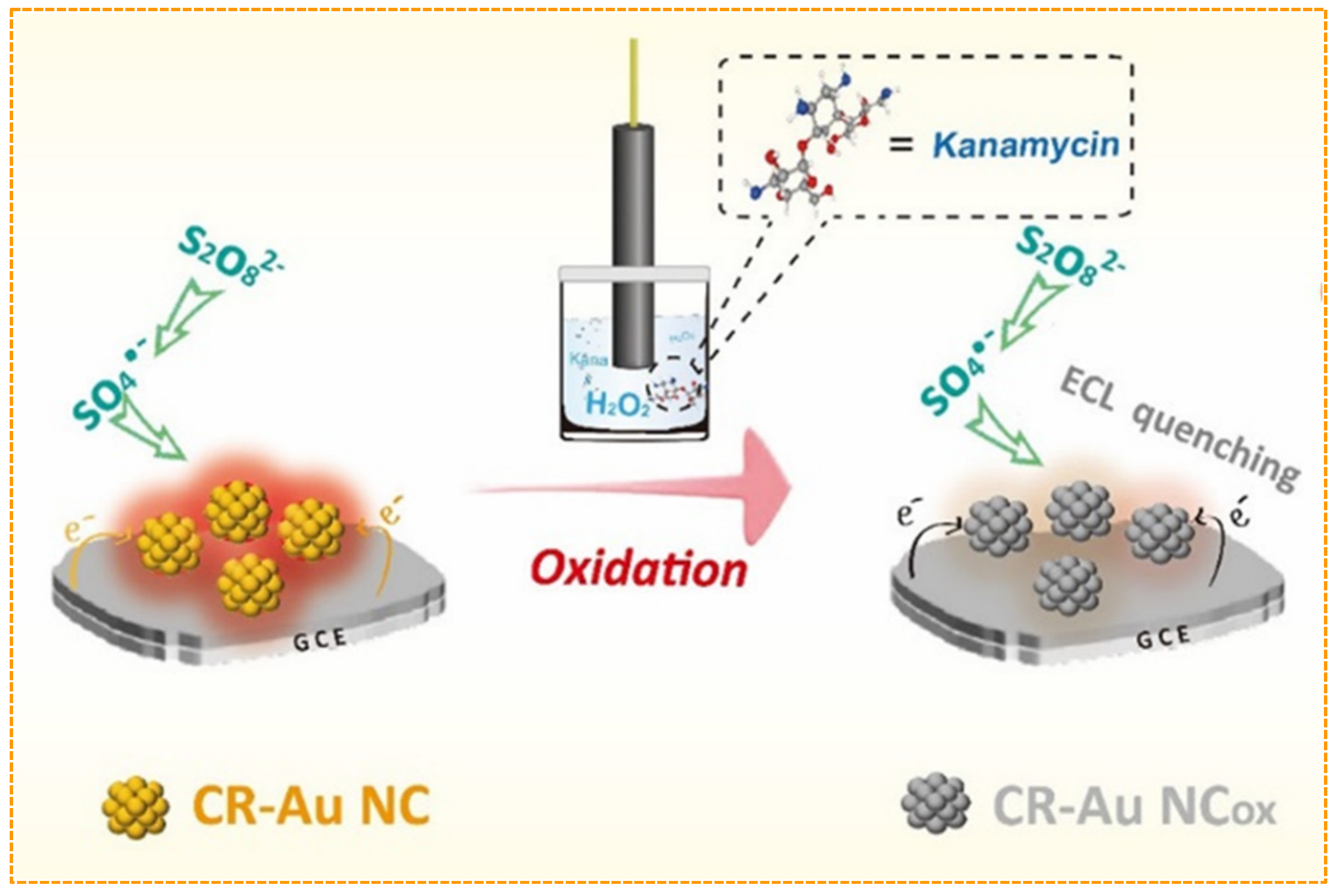 Biosensors 12 01046 g005 Biosensors 12 01046 g005