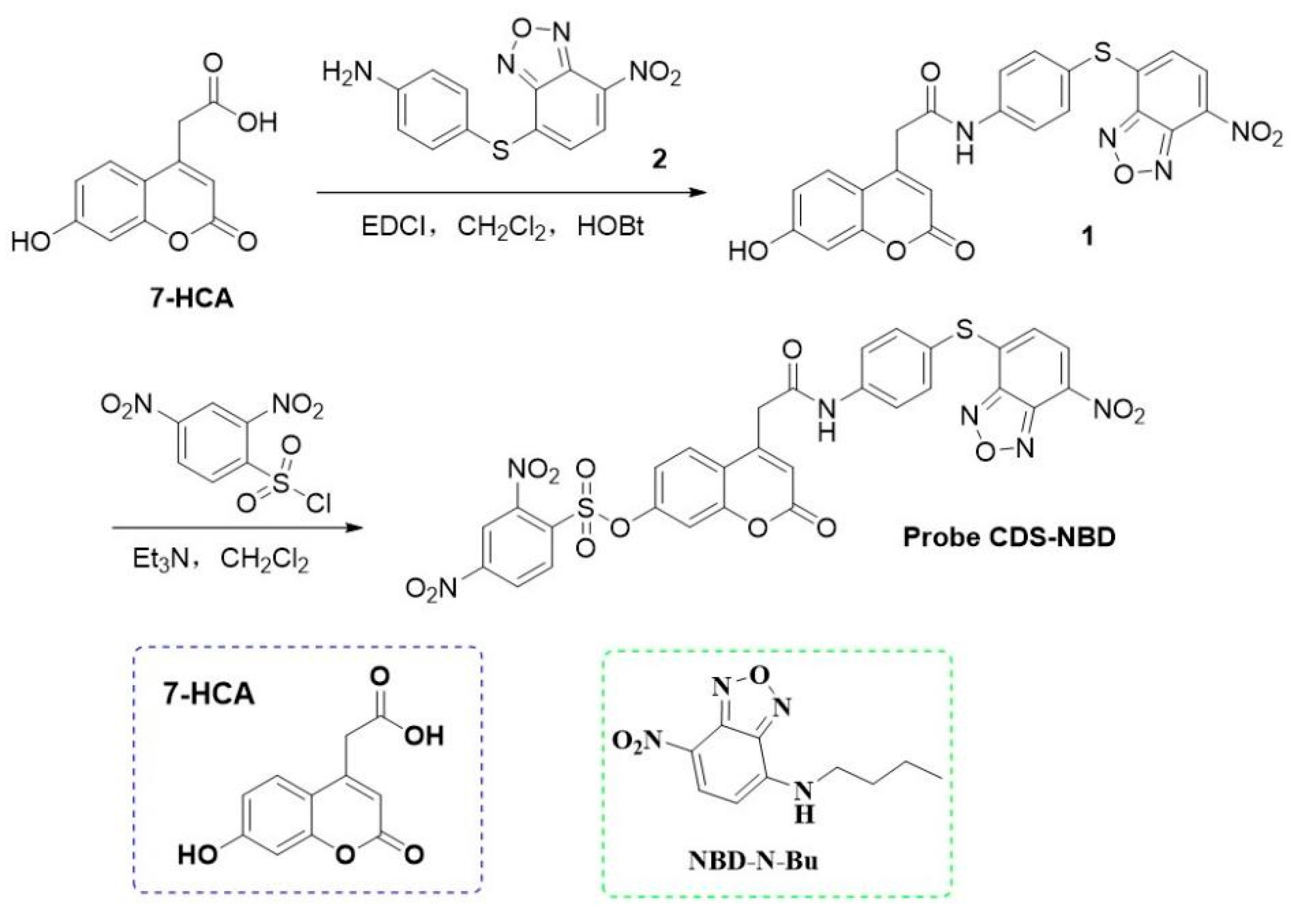 Biosensors 12 01056 sch001 Biosensors 12 01056 sch001