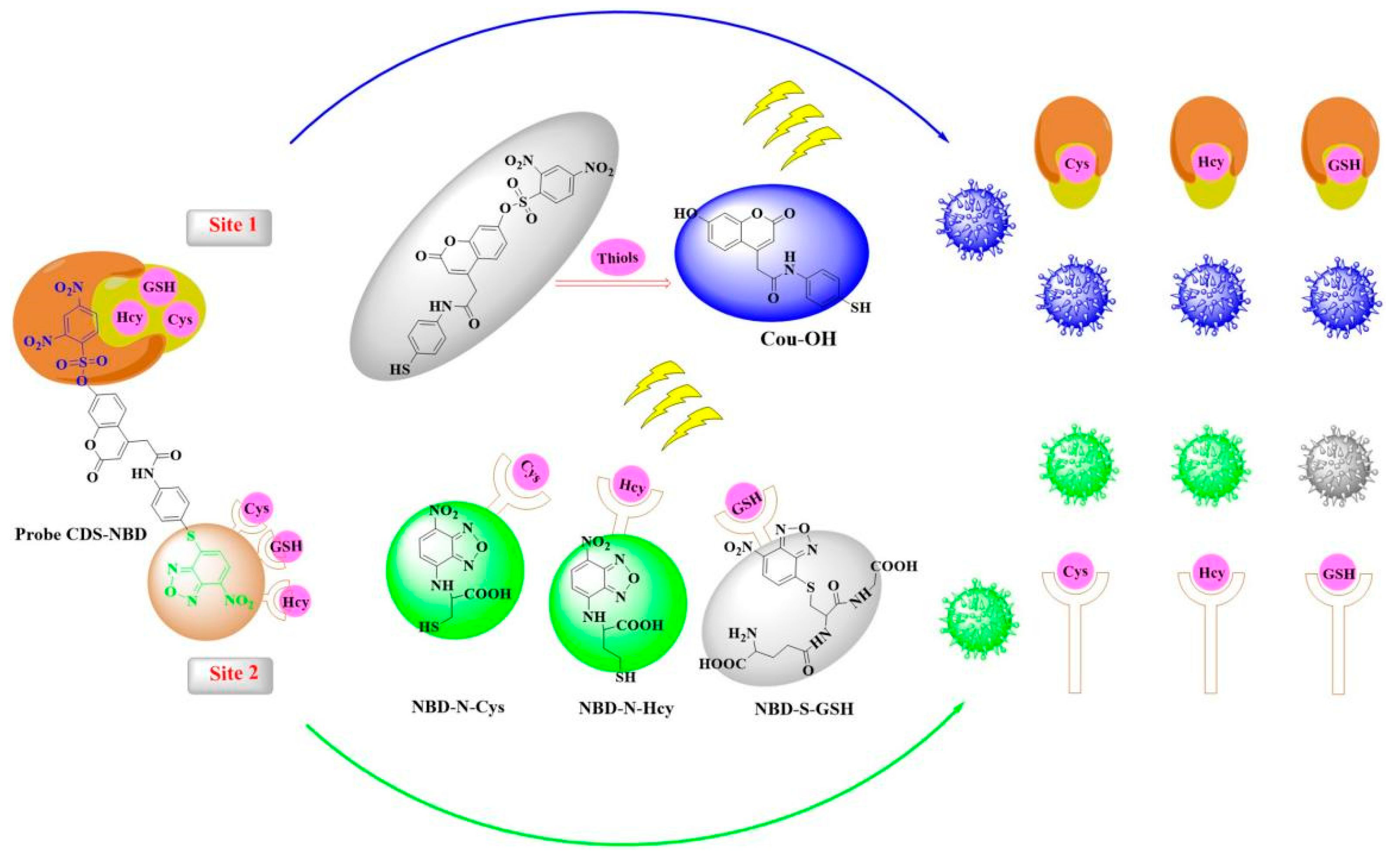 Biosensors 12 01056 sch002 Biosensors 12 01056 sch002