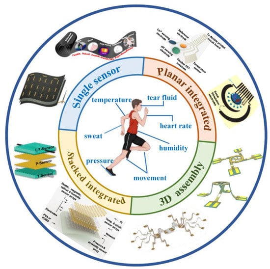 Biosensors | Free Full-Text | Recent Advances In Multifunctional ...