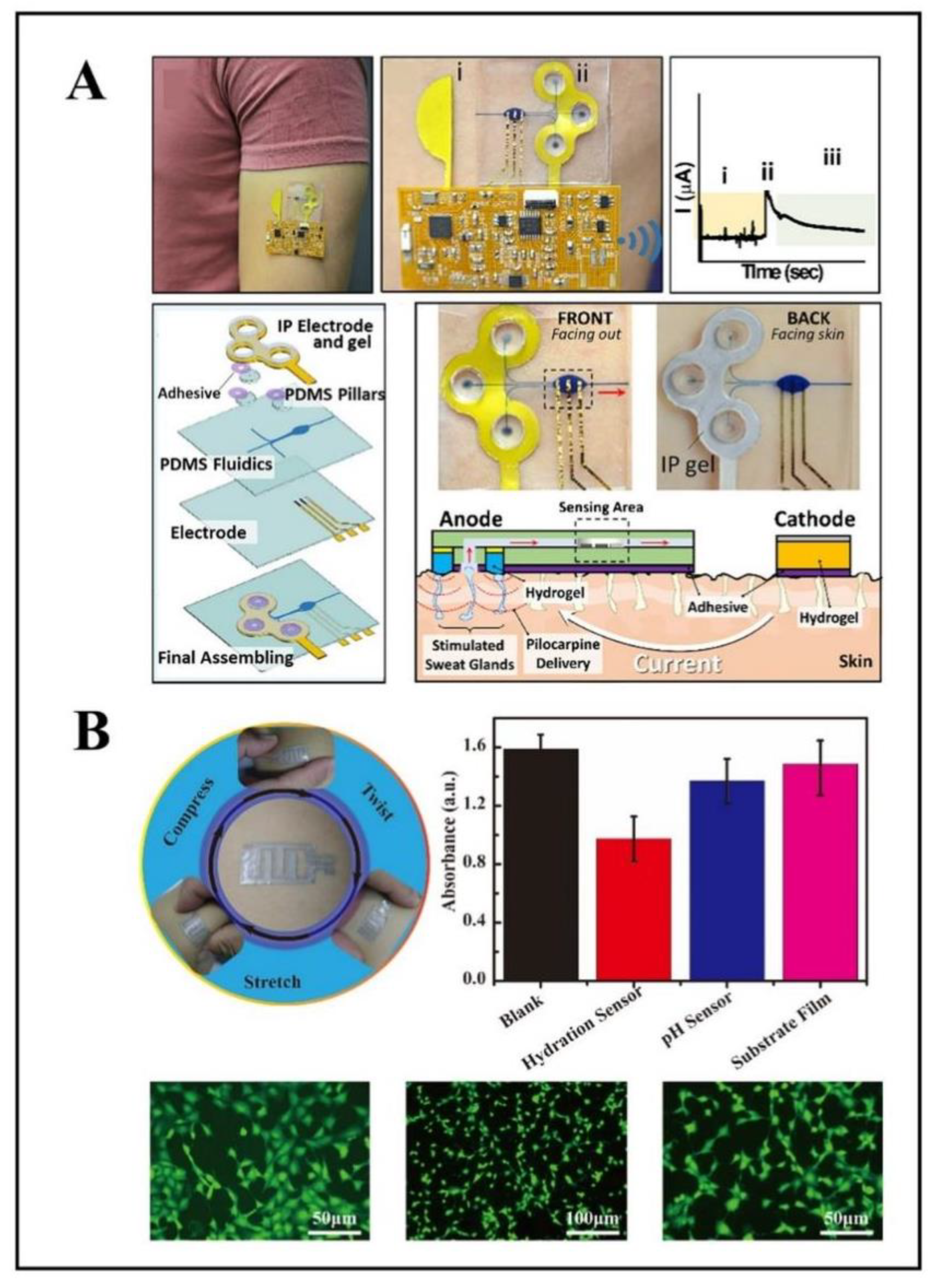 Biosensors 12 01069 g006