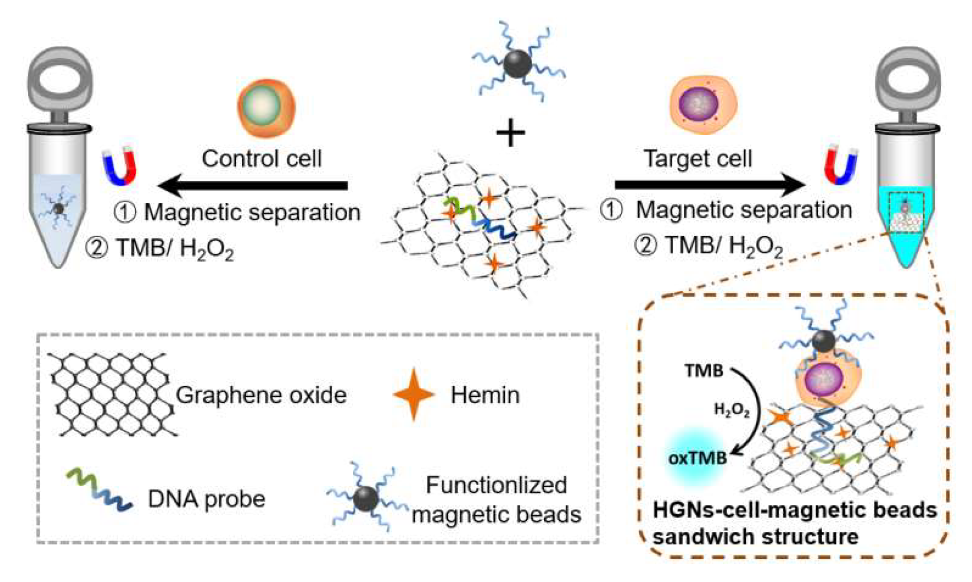 Biosensors 12 01070 g001