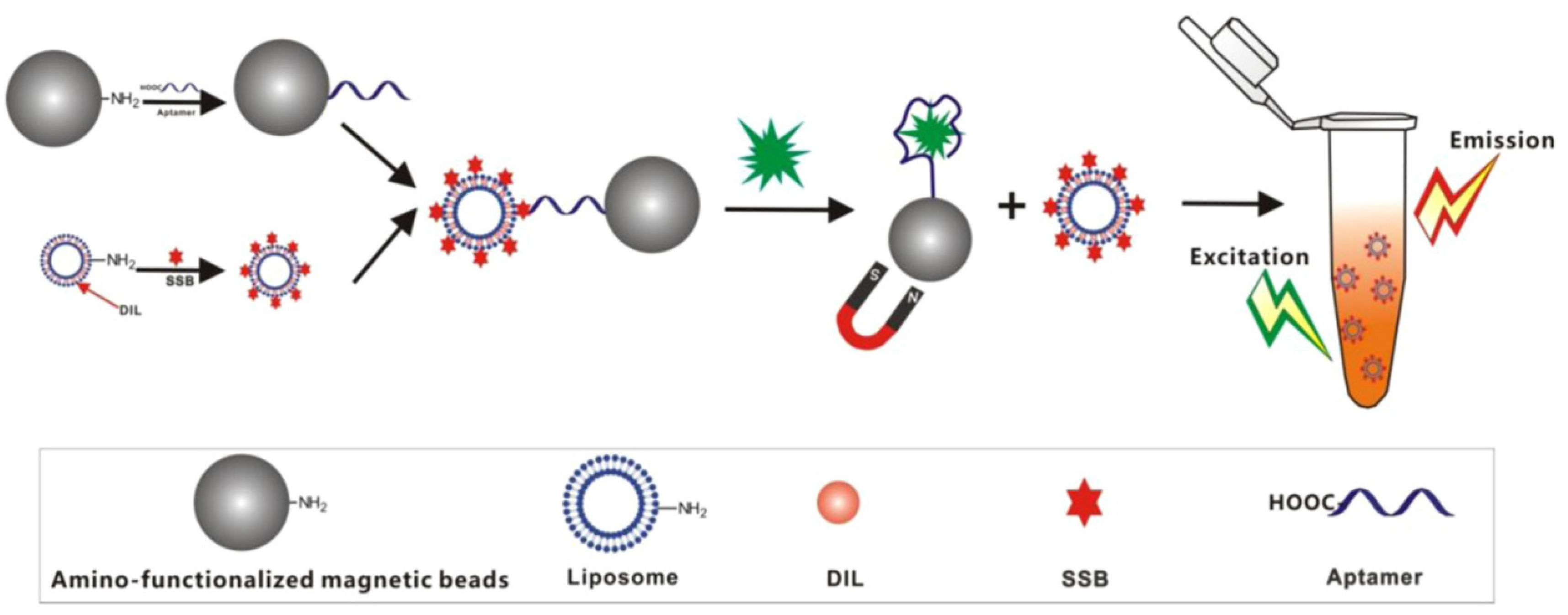 Biosensors 12 01072 g003