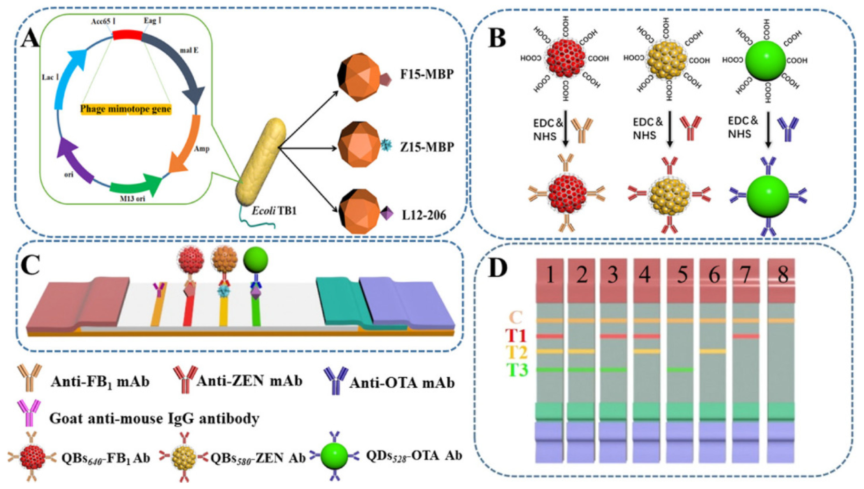 Biosensors 12 01072 g006