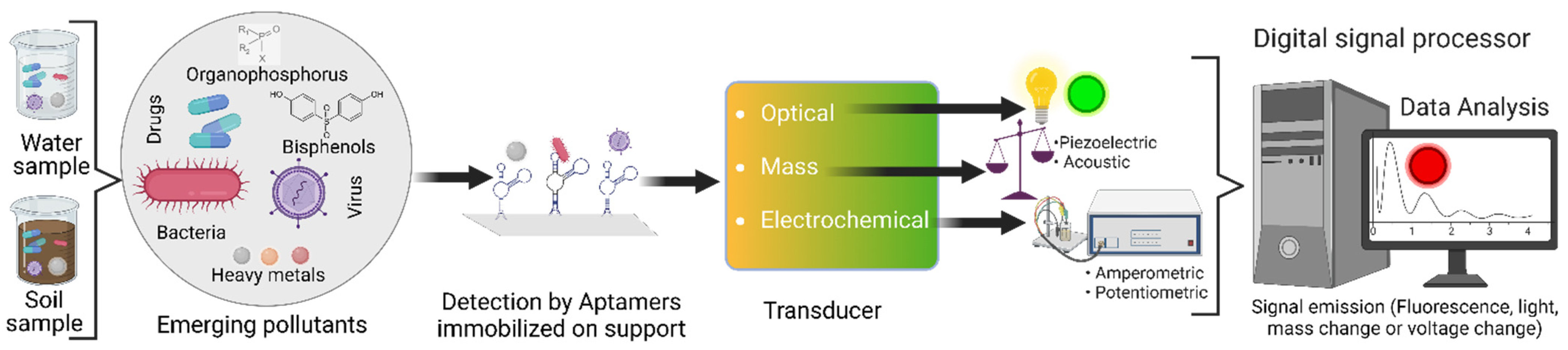 Biosensors | Free Full-Text | Detection of Emerging Pollutants Using ...